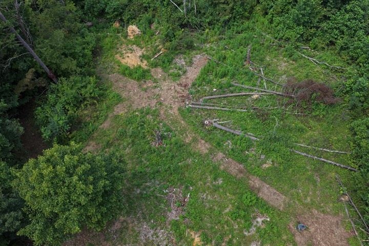 TBD-33.88 Acres Baptist Hollow Road Hiwassee VA 24347