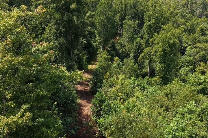 TBD-33.88 Acres Baptist Hollow Road Hiwassee VA 24347