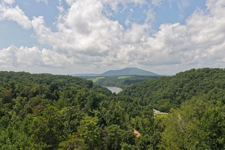 TBD-33.88 Acres Baptist Hollow Road Hiwassee VA 24347
