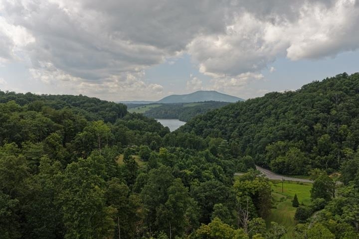 TBD-33.88 Acres Baptist Hollow Road Hiwassee VA 24347