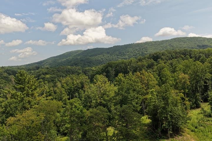 TBD-33.88 Acres Baptist Hollow Road Hiwassee VA 24347