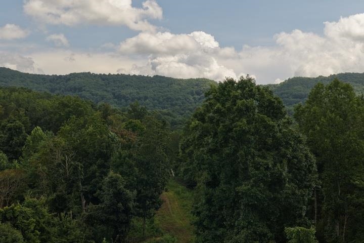 TBD-33.88 Acres Baptist Hollow Road Hiwassee VA 24347