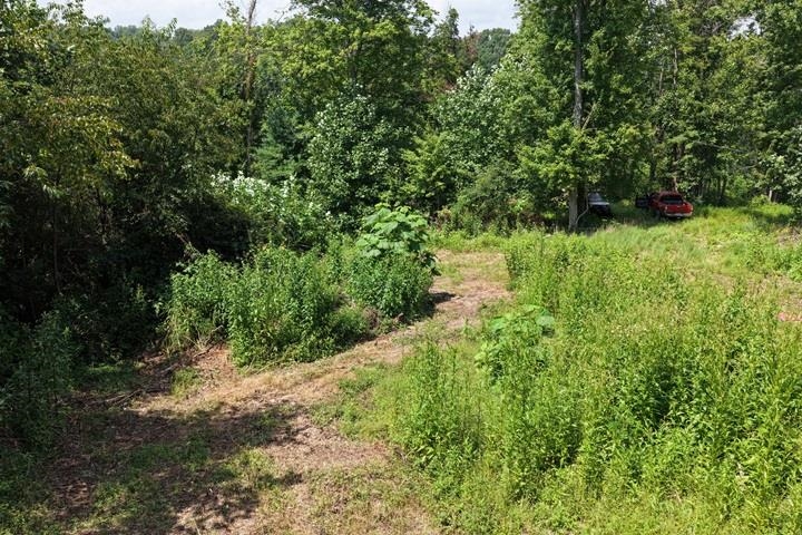 TBD-33.88 Acres Baptist Hollow Road Hiwassee VA 24347