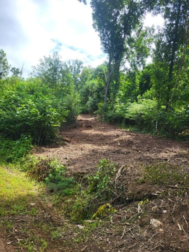 TBD-33.88 Acres Baptist Hollow Road Hiwassee VA 24347