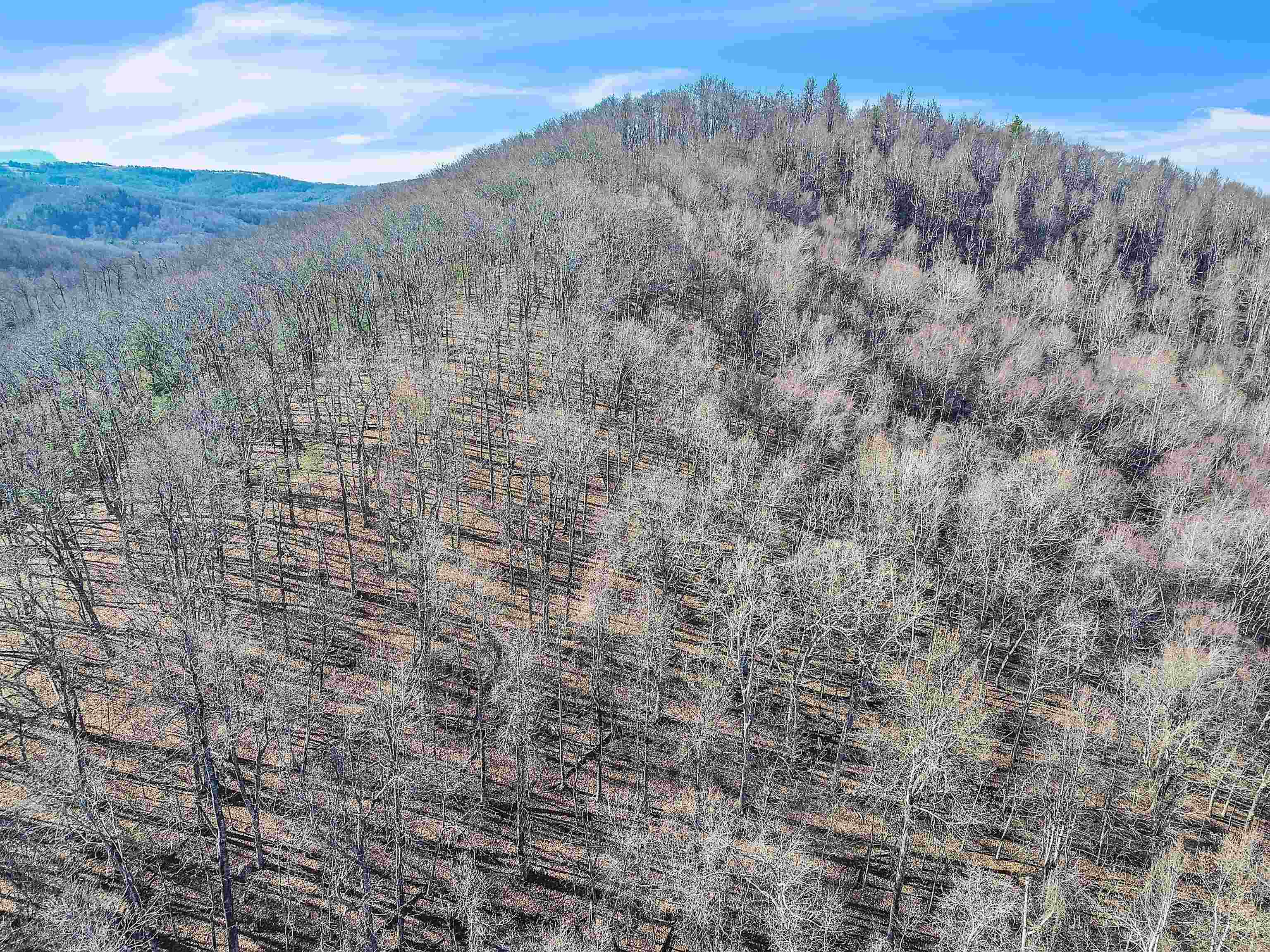 1398 Cox Store Road SW Floyd VA 24091