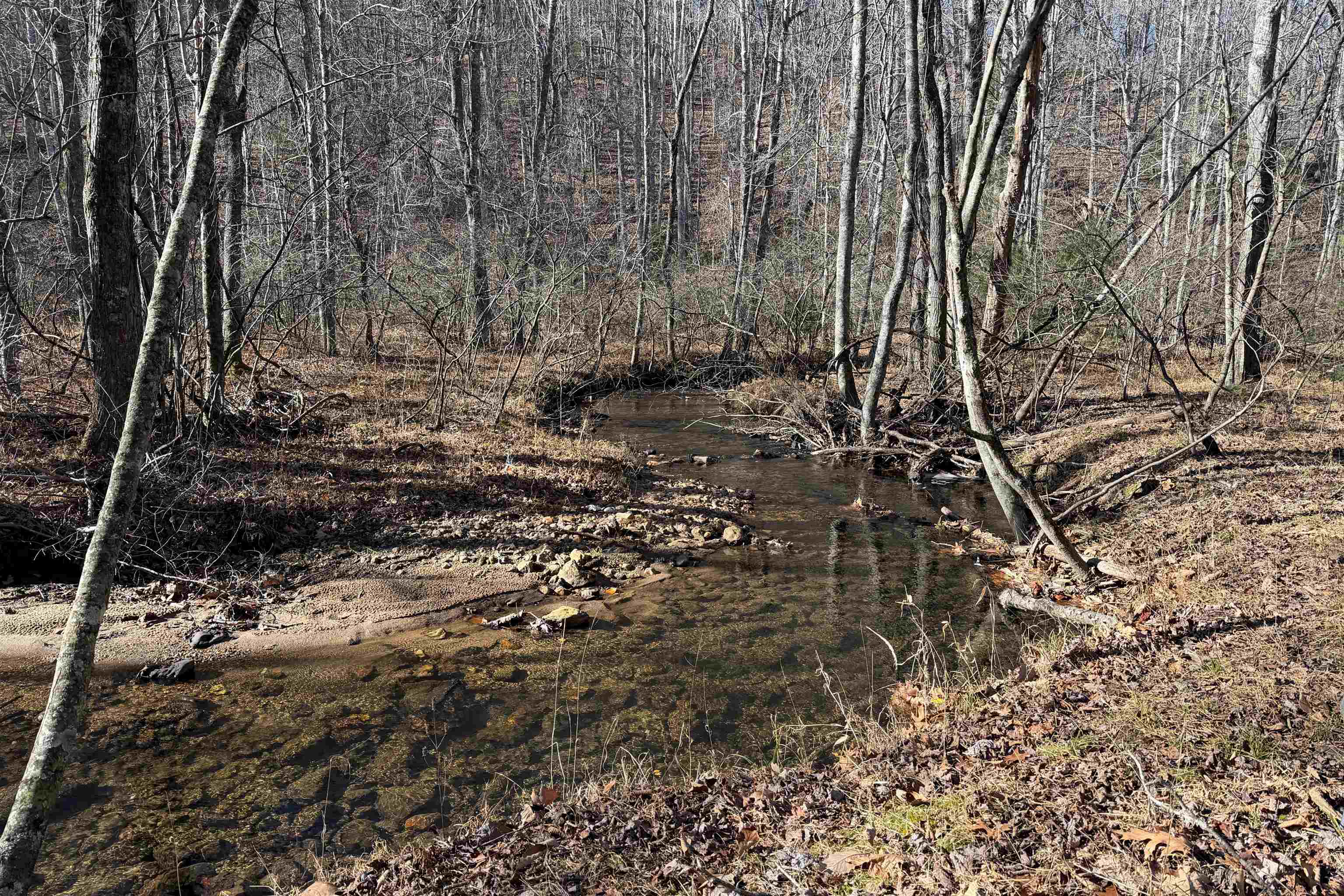 1398 Cox Store Road SW Floyd VA 24091