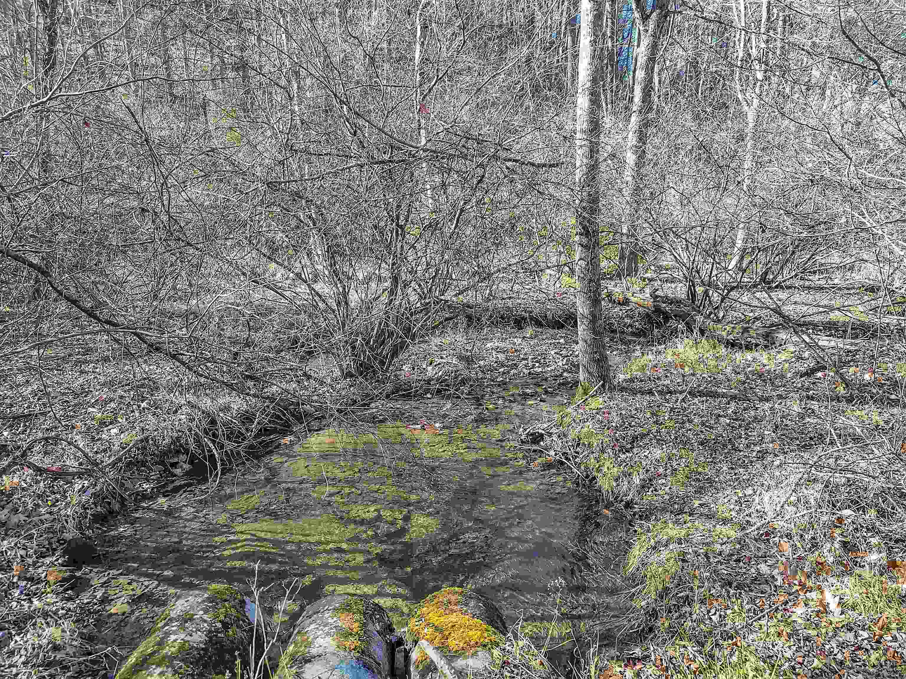 1398 Cox Store Road SW Floyd VA 24091