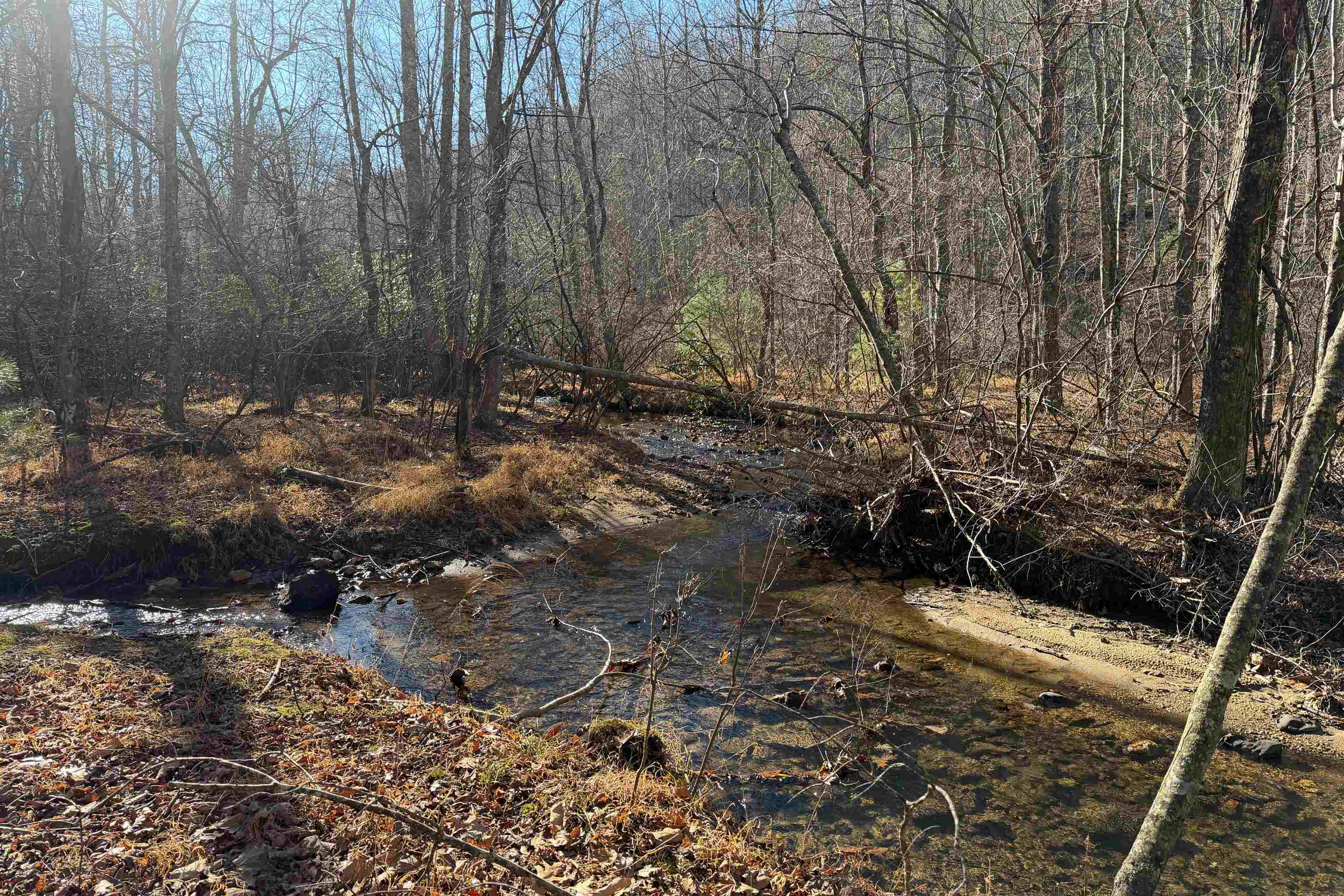 1398 Cox Store Road SW Floyd VA 24091