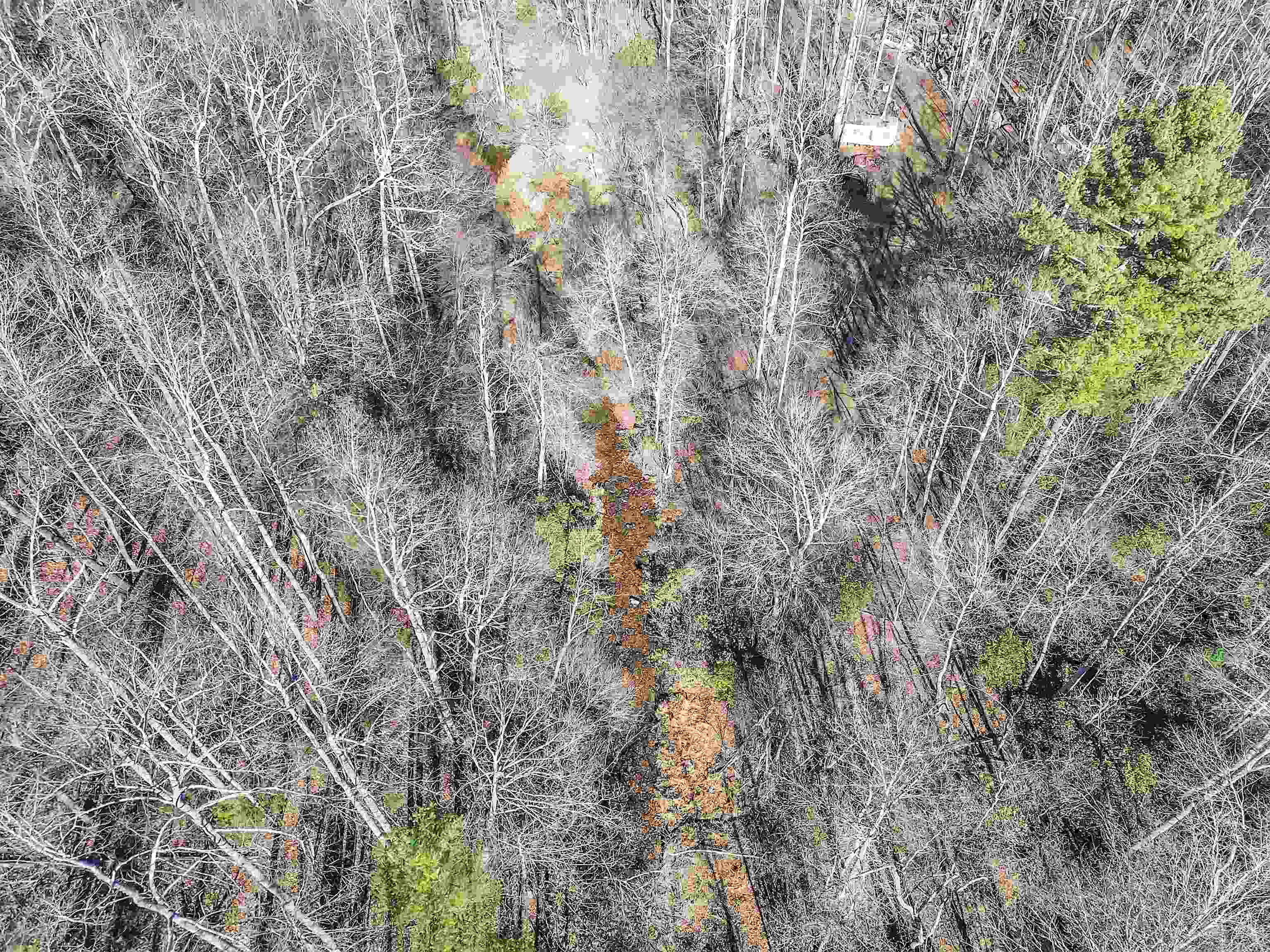 1398 Cox Store Road SW Floyd VA 24091