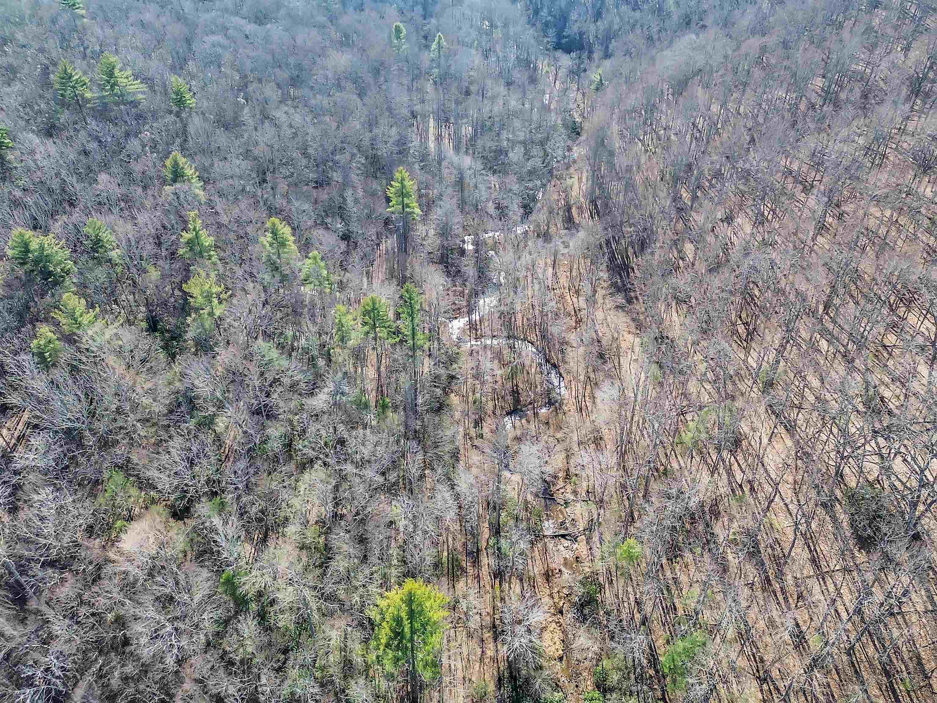 1398 Cox Store Road SW Floyd VA 24091