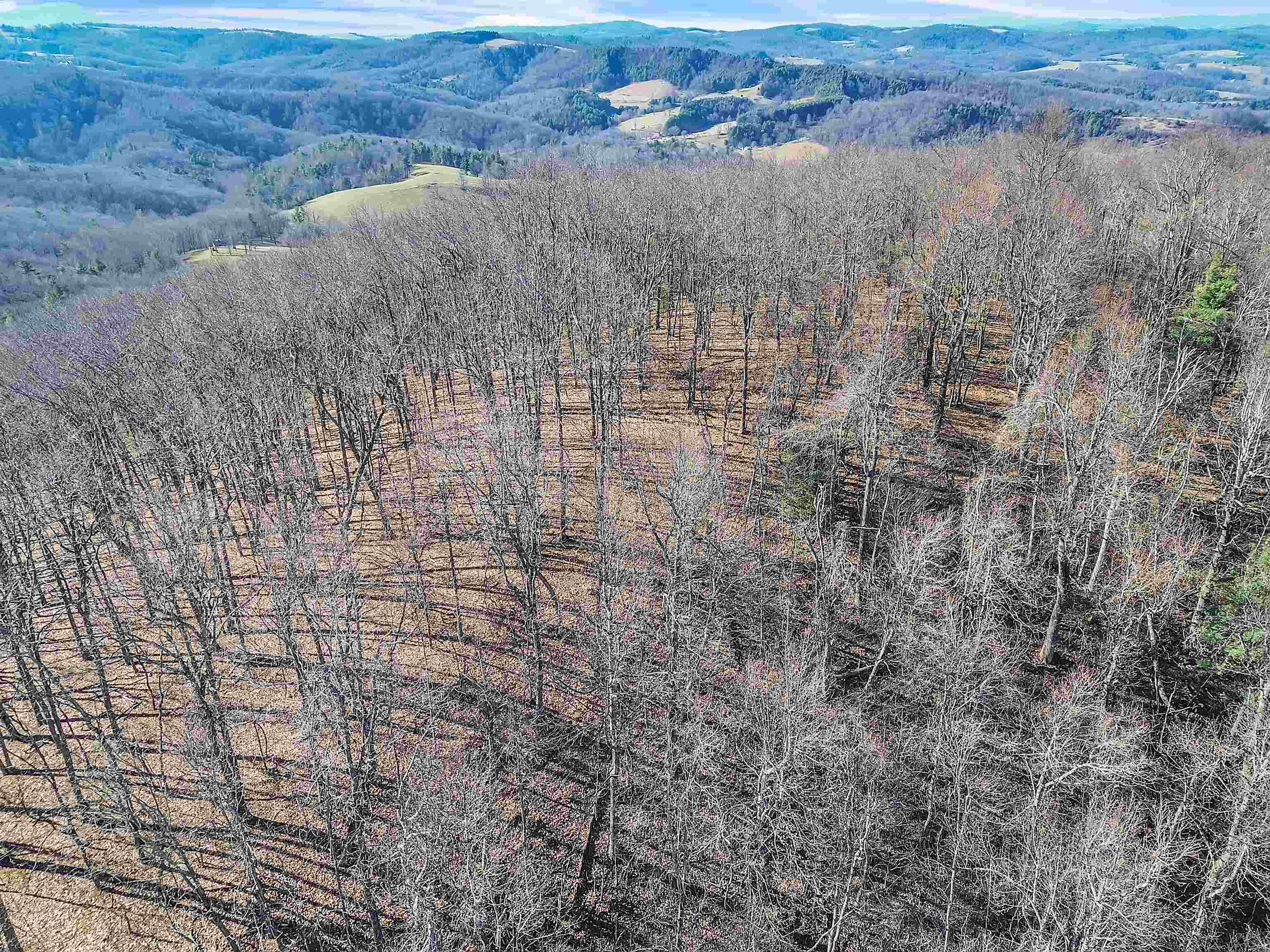 1398 Cox Store Road SW Floyd VA 24091