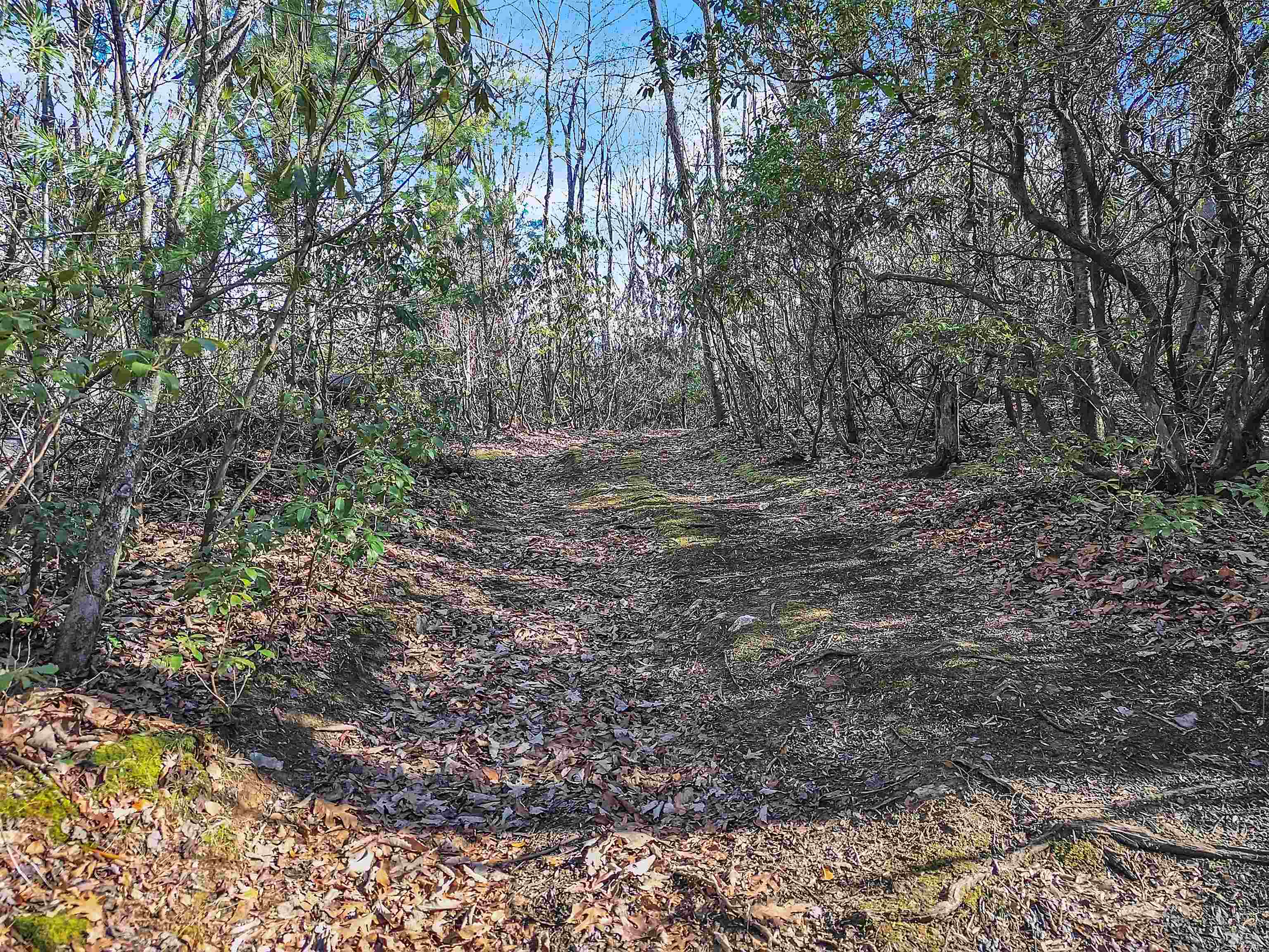 1398 Cox Store Road SW Floyd VA 24091