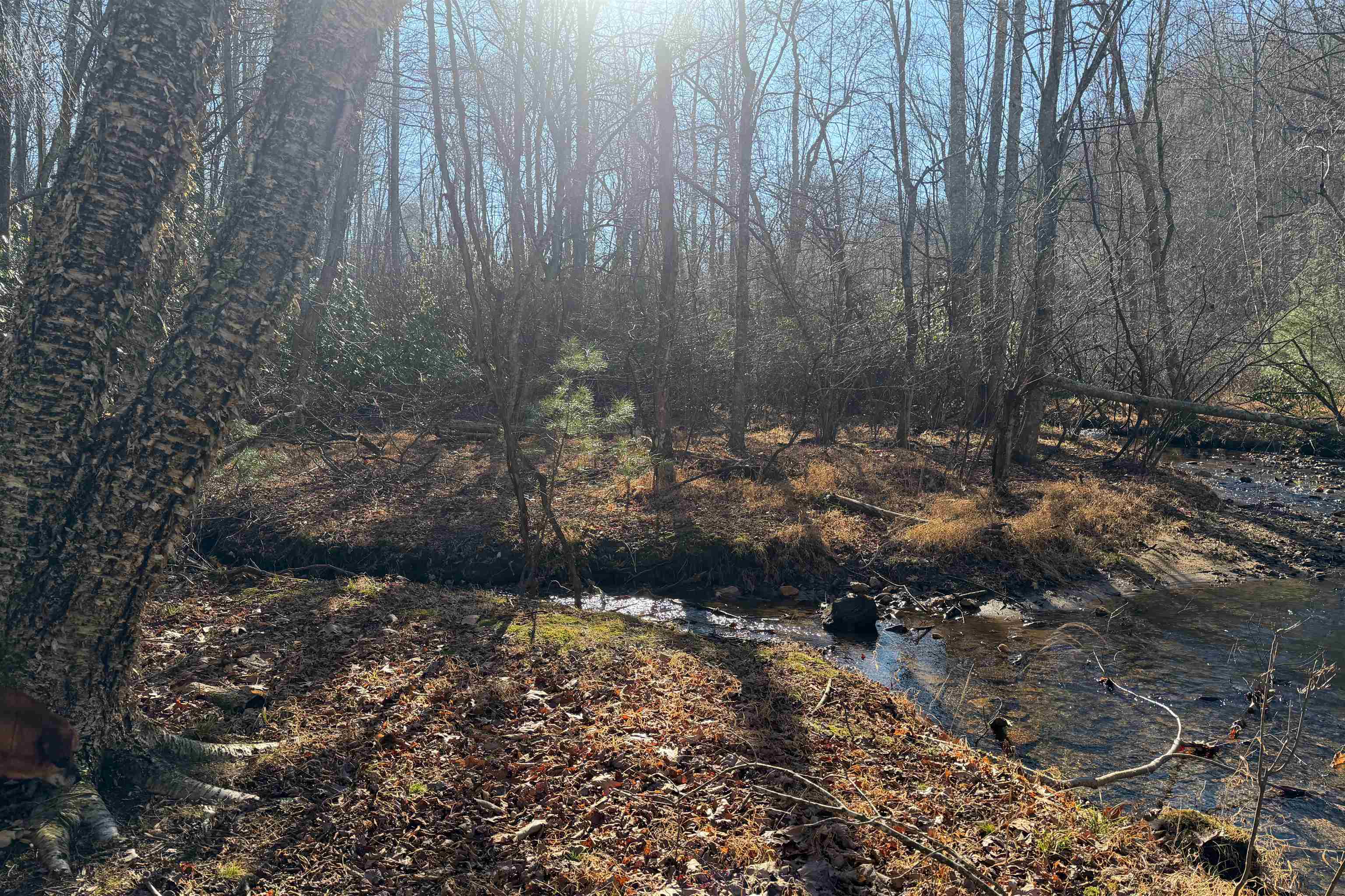 1398 Cox Store Road SW Floyd VA 24091