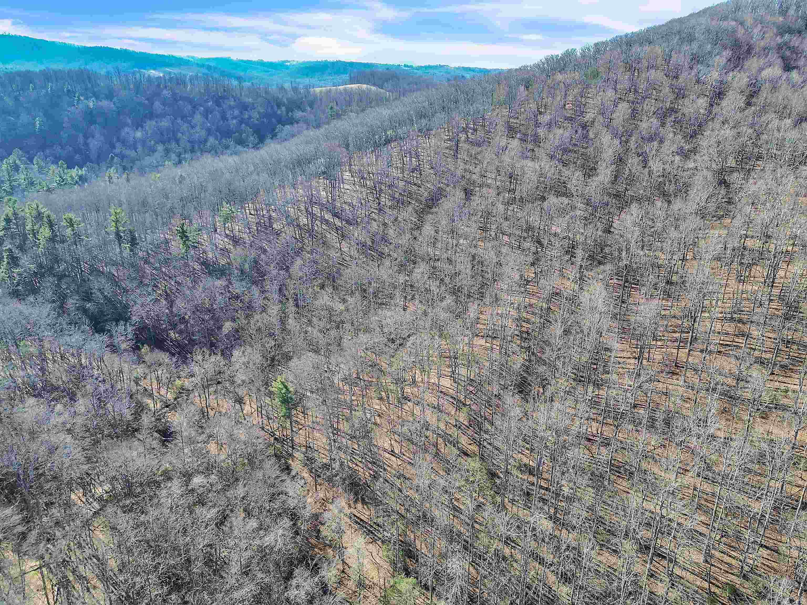 1398 Cox Store Road SW Floyd VA 24091