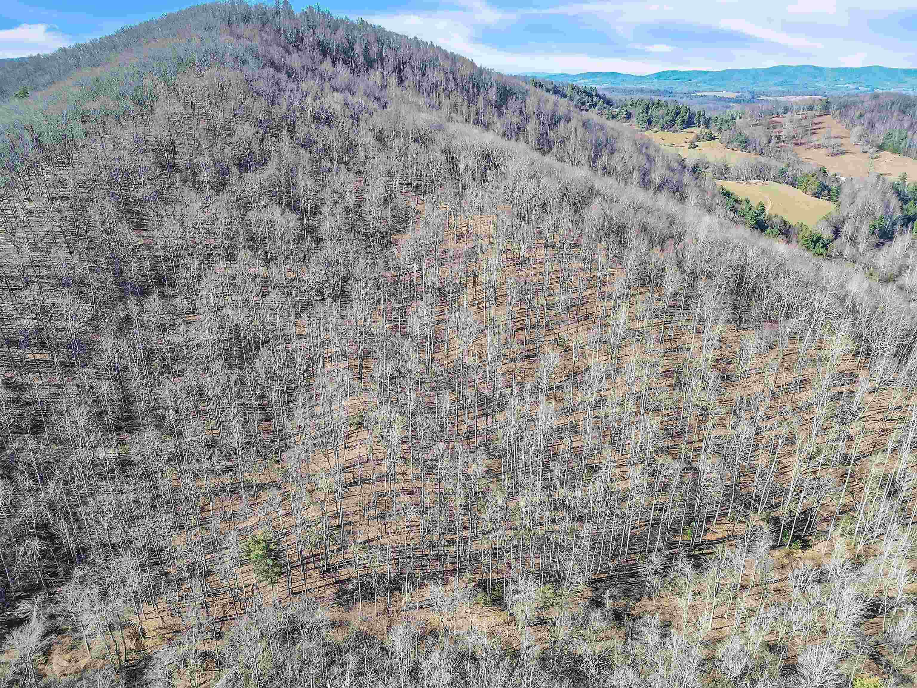 1398 Cox Store Road SW Floyd VA 24091