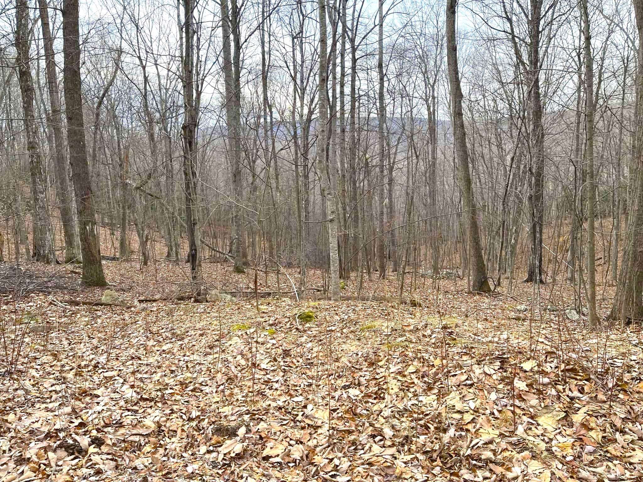 Lot 24 Gobbler Lane Newport VA 24128