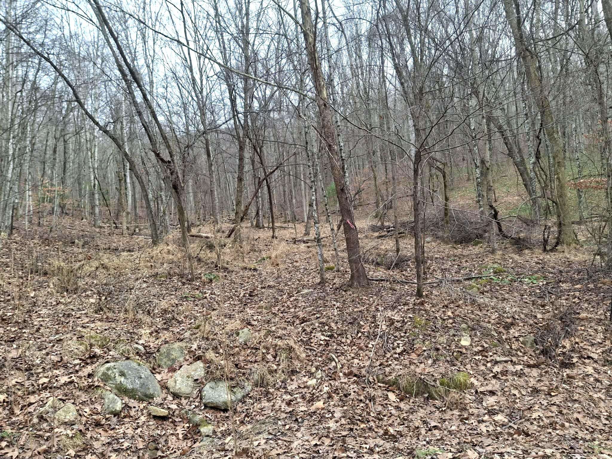 Lot 24 Gobbler Lane Newport VA 24128