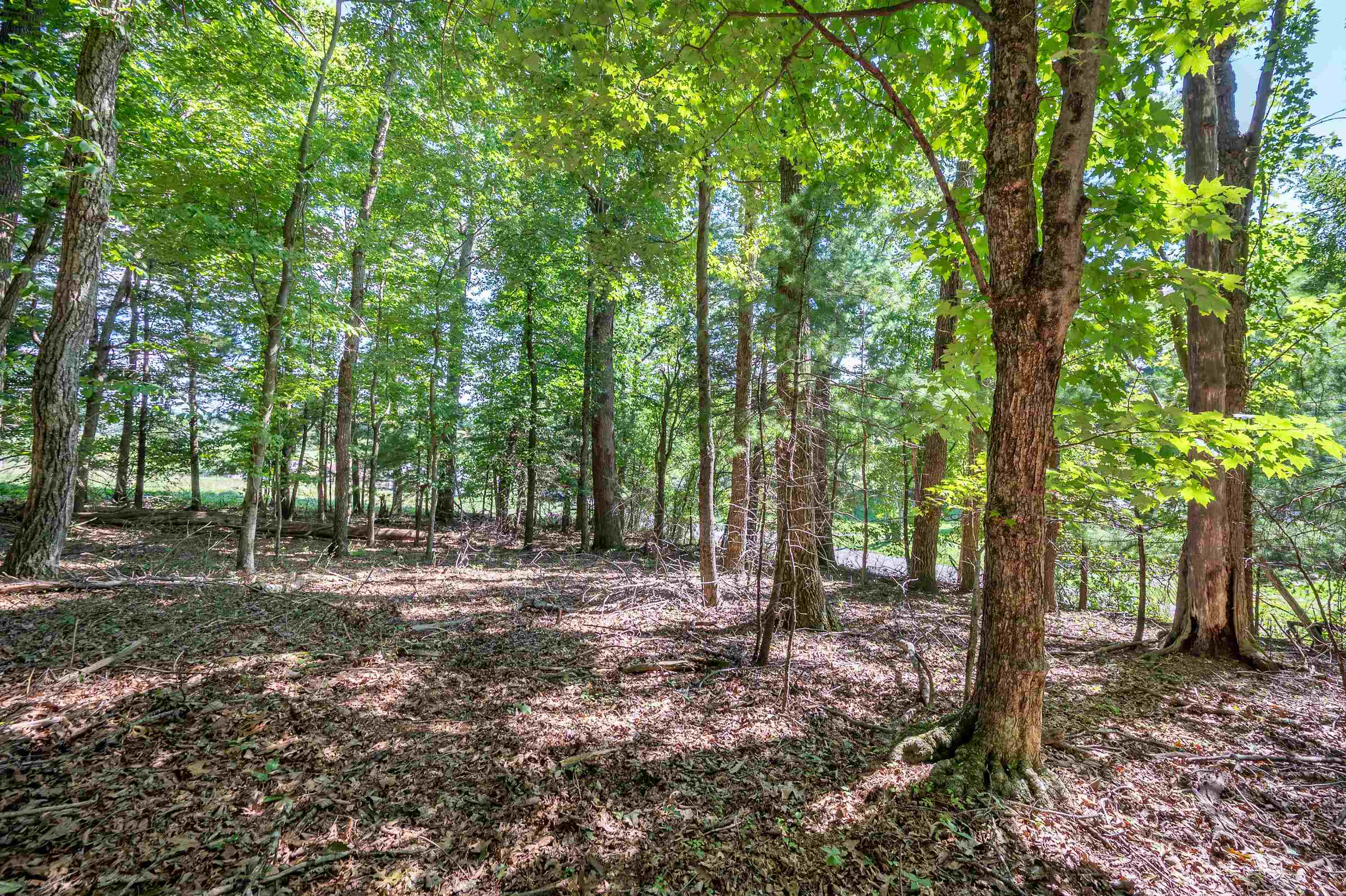 2264 Sunny Ridge Road NE Check VA 24072