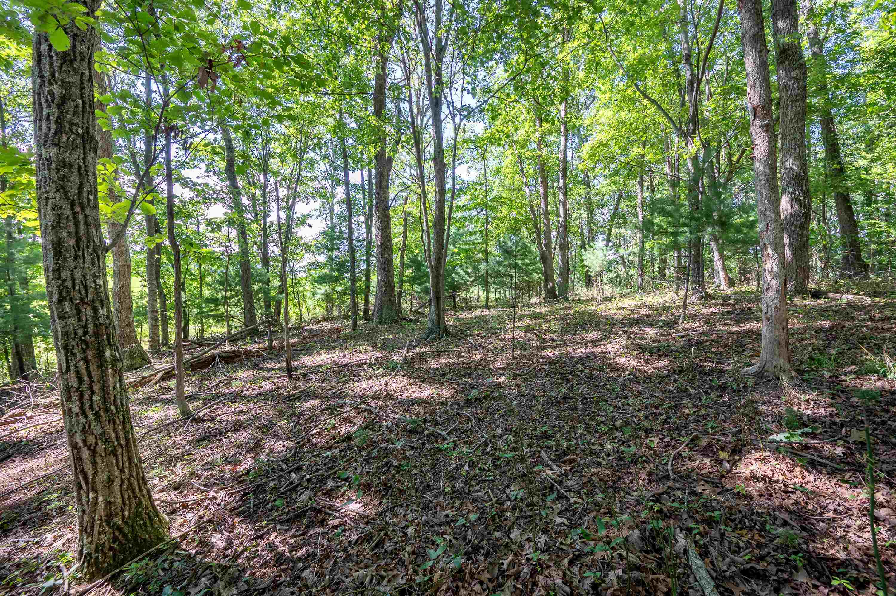 2264 Sunny Ridge Road NE Check VA 24072