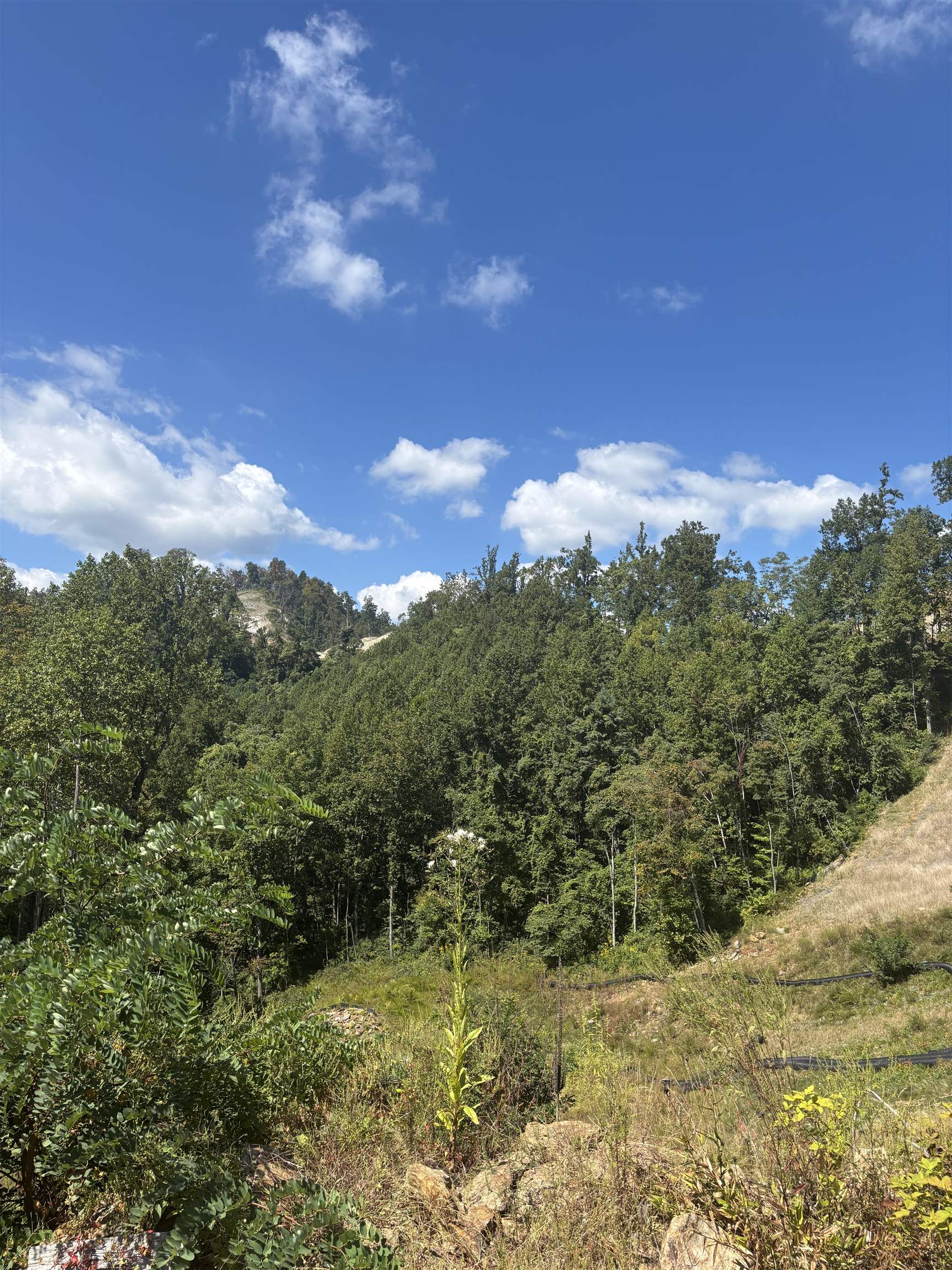 0 Jeb Stuart Highway Meadows Of Dan VA 24120