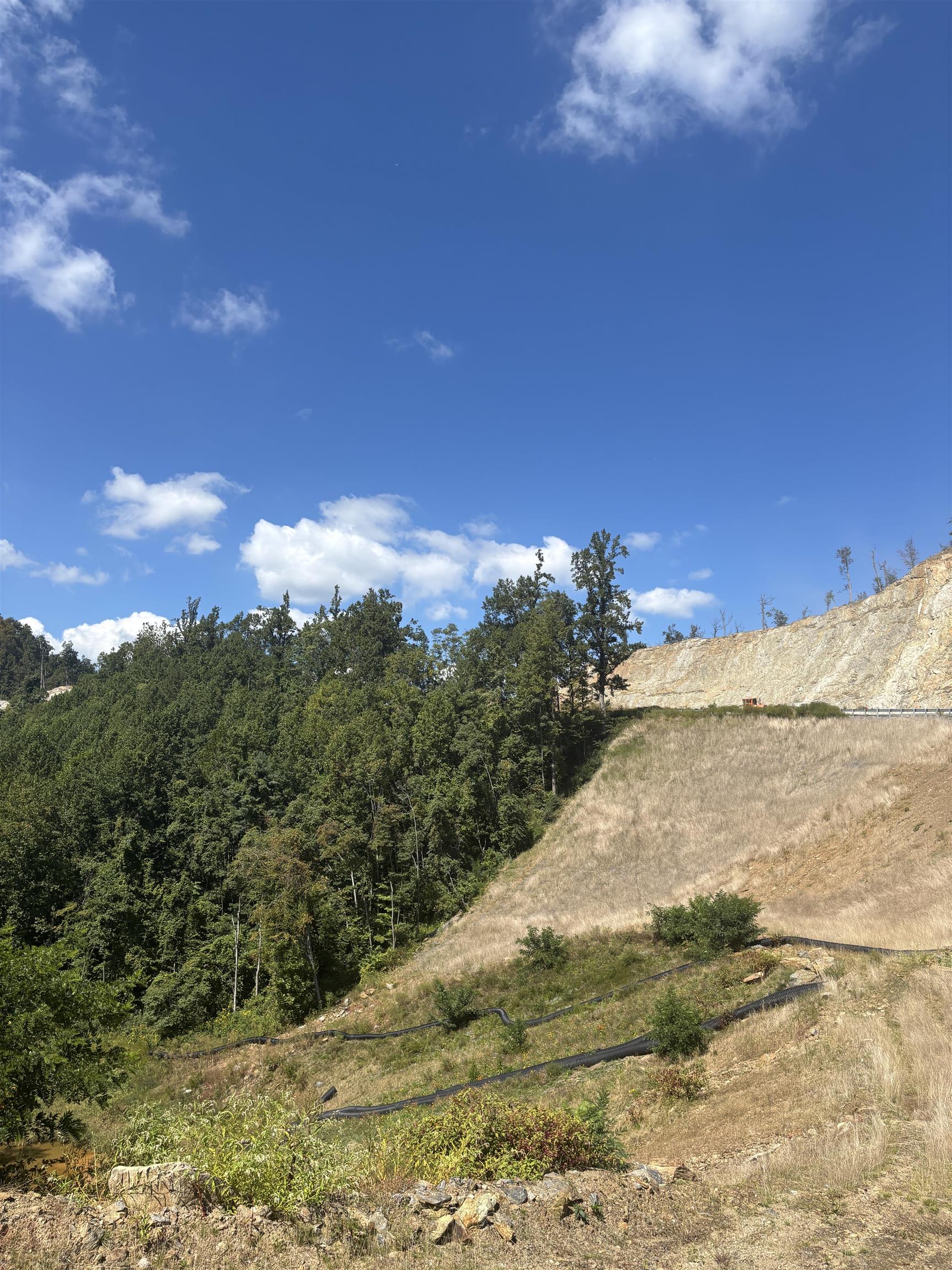 0 Jeb Stuart Highway Meadows Of Dan VA 24120