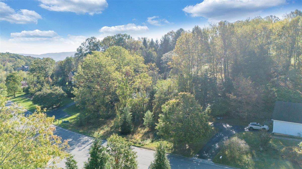 406 Georgia Street Blacksburg VA 24060