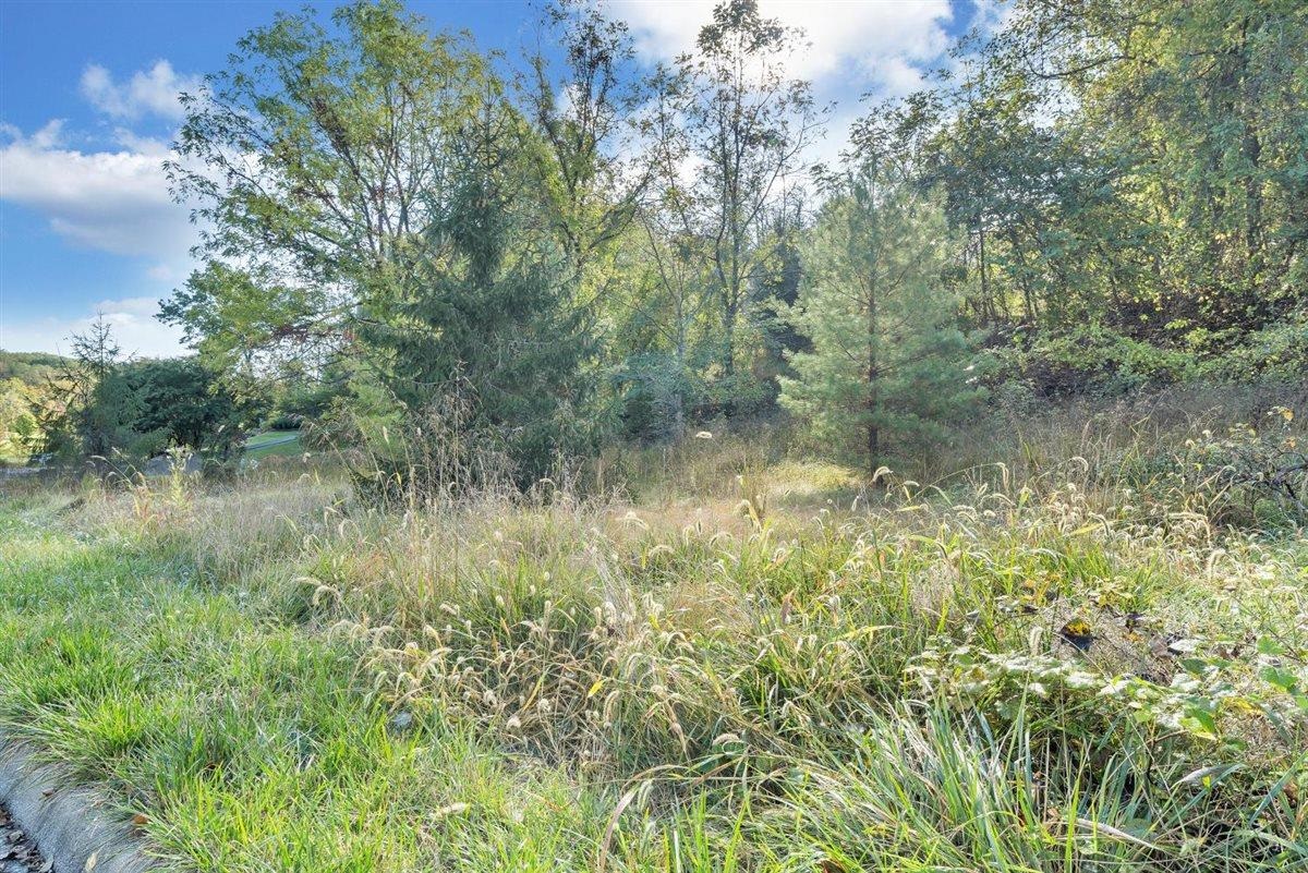 406 Georgia Street Blacksburg VA 24060