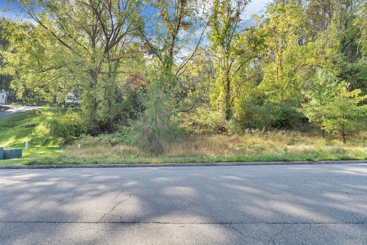 406 Georgia Street Blacksburg VA 24060