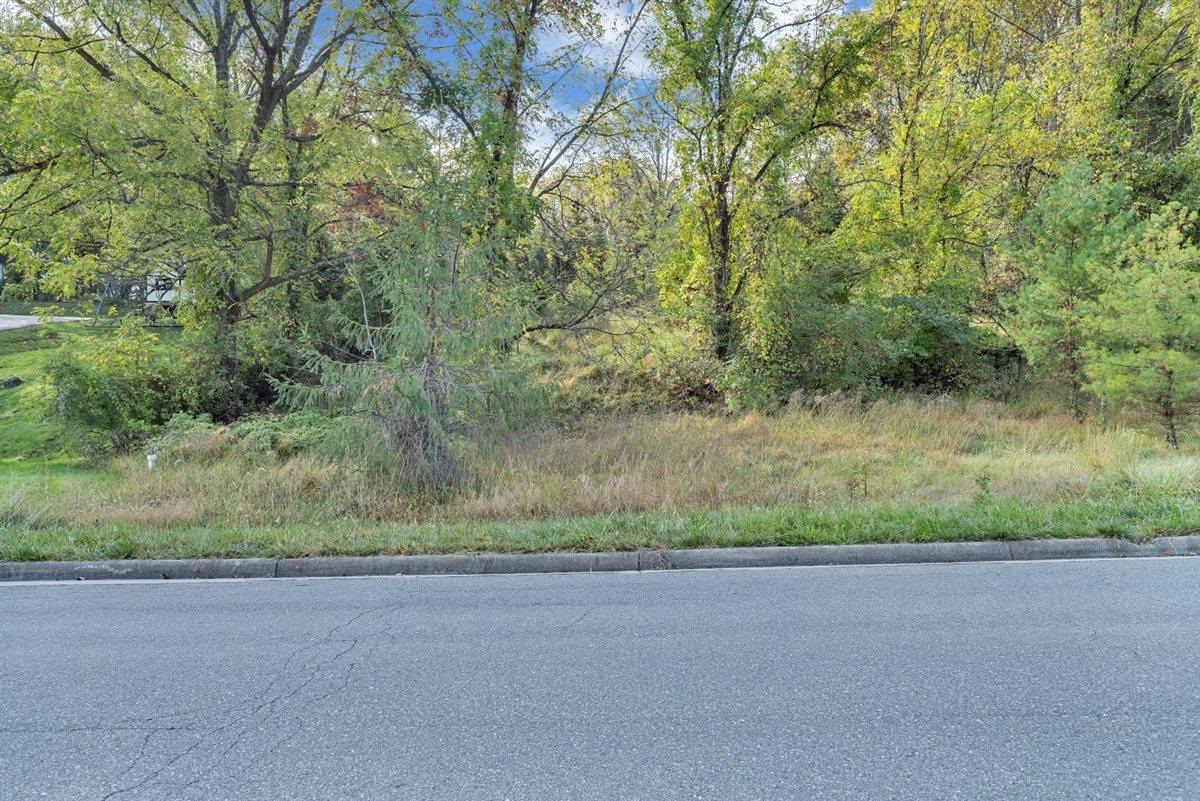 406 Georgia Street Blacksburg VA 24060