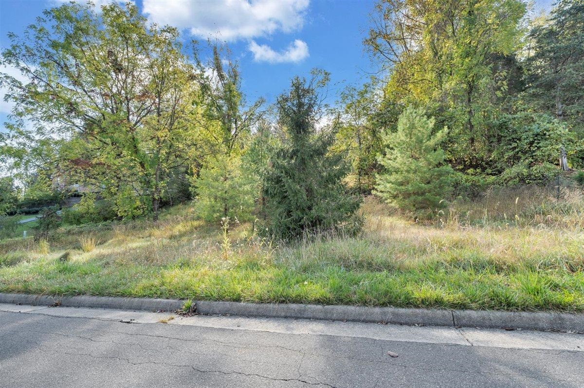 406 Georgia Street Blacksburg VA 24060