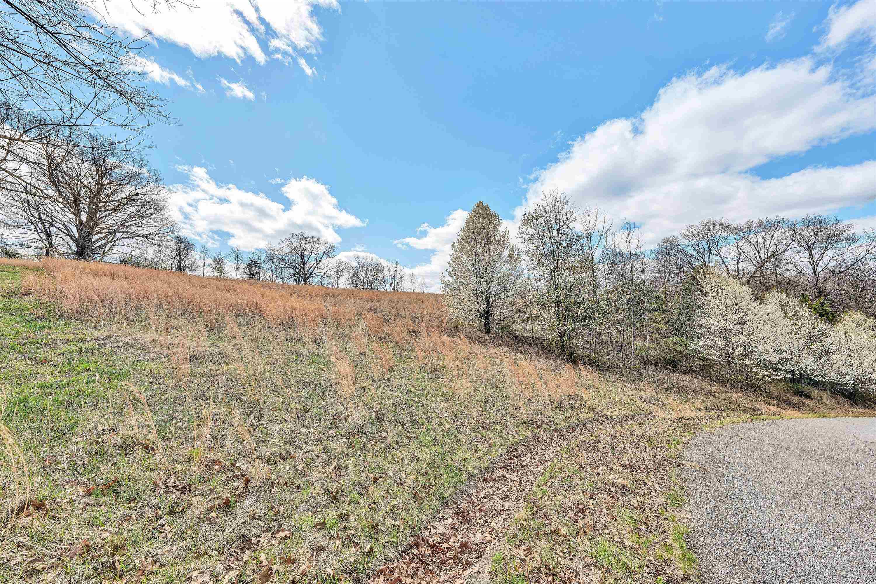 00 Springhouse Road Rocky Mount VA 24151