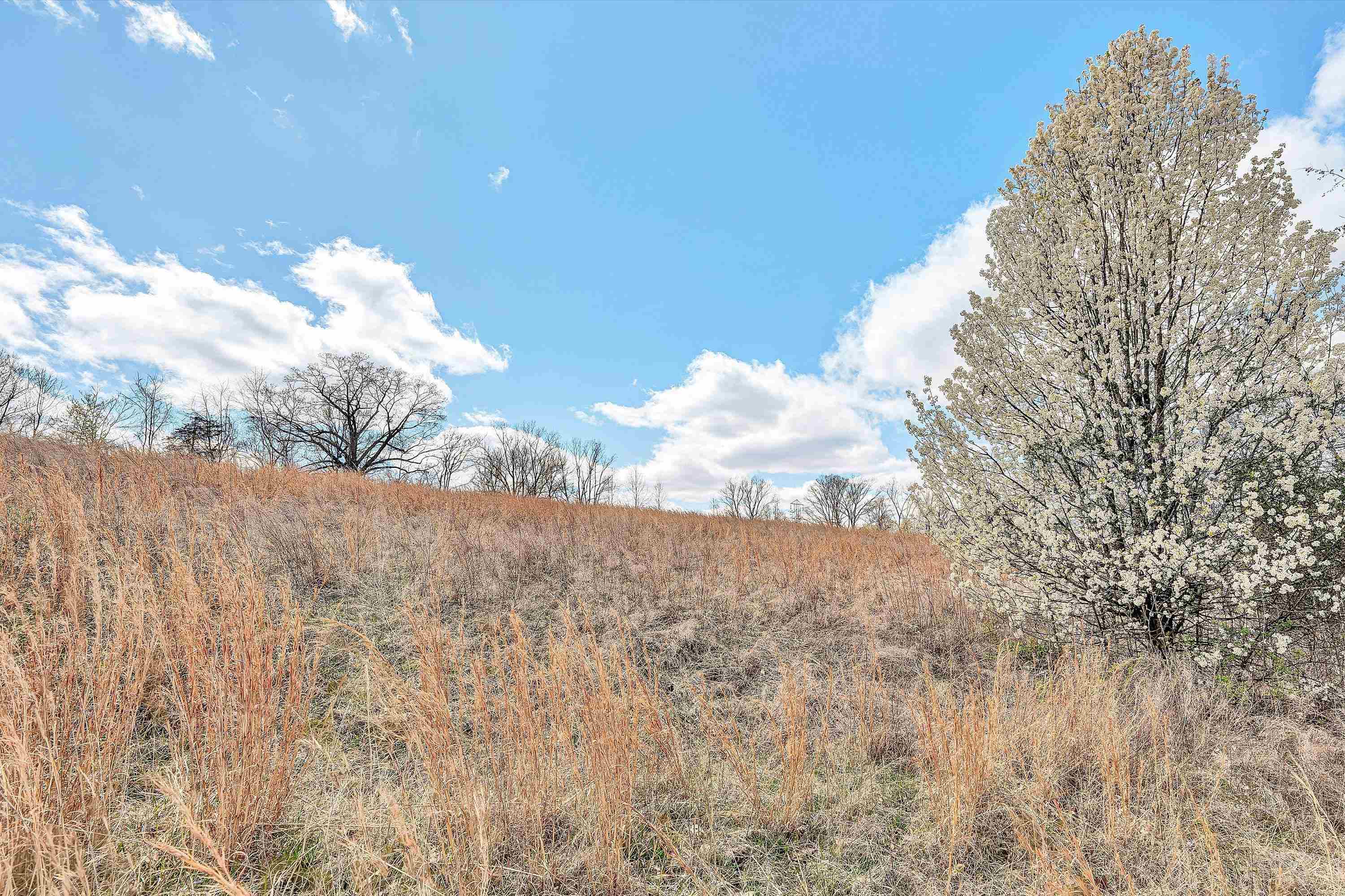00 Springhouse Road Rocky Mount VA 24151