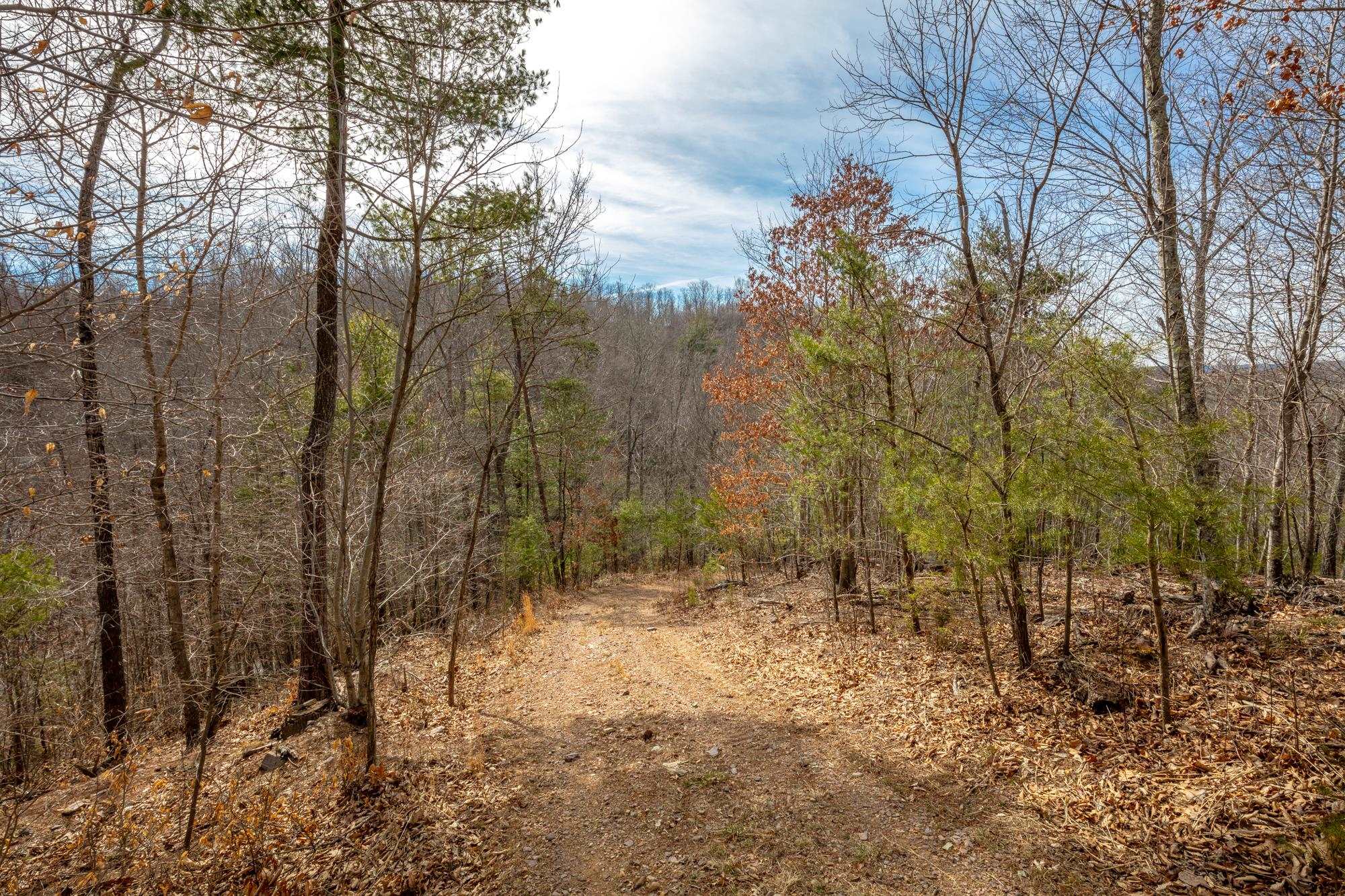 Tbd Blackberry Lane Hiwassee VA 24347