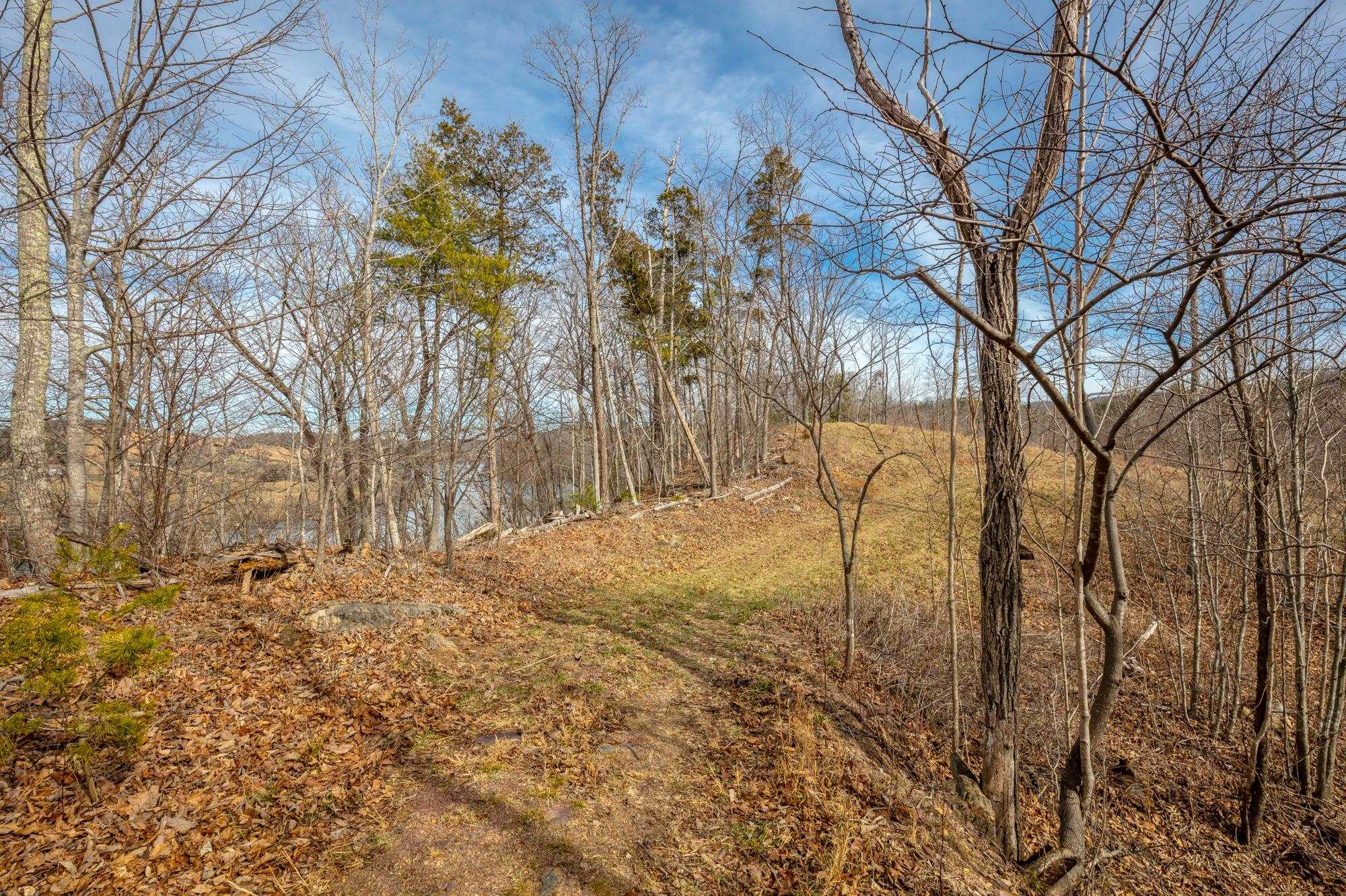 Tbd Blackberry Lane Hiwassee VA 24347