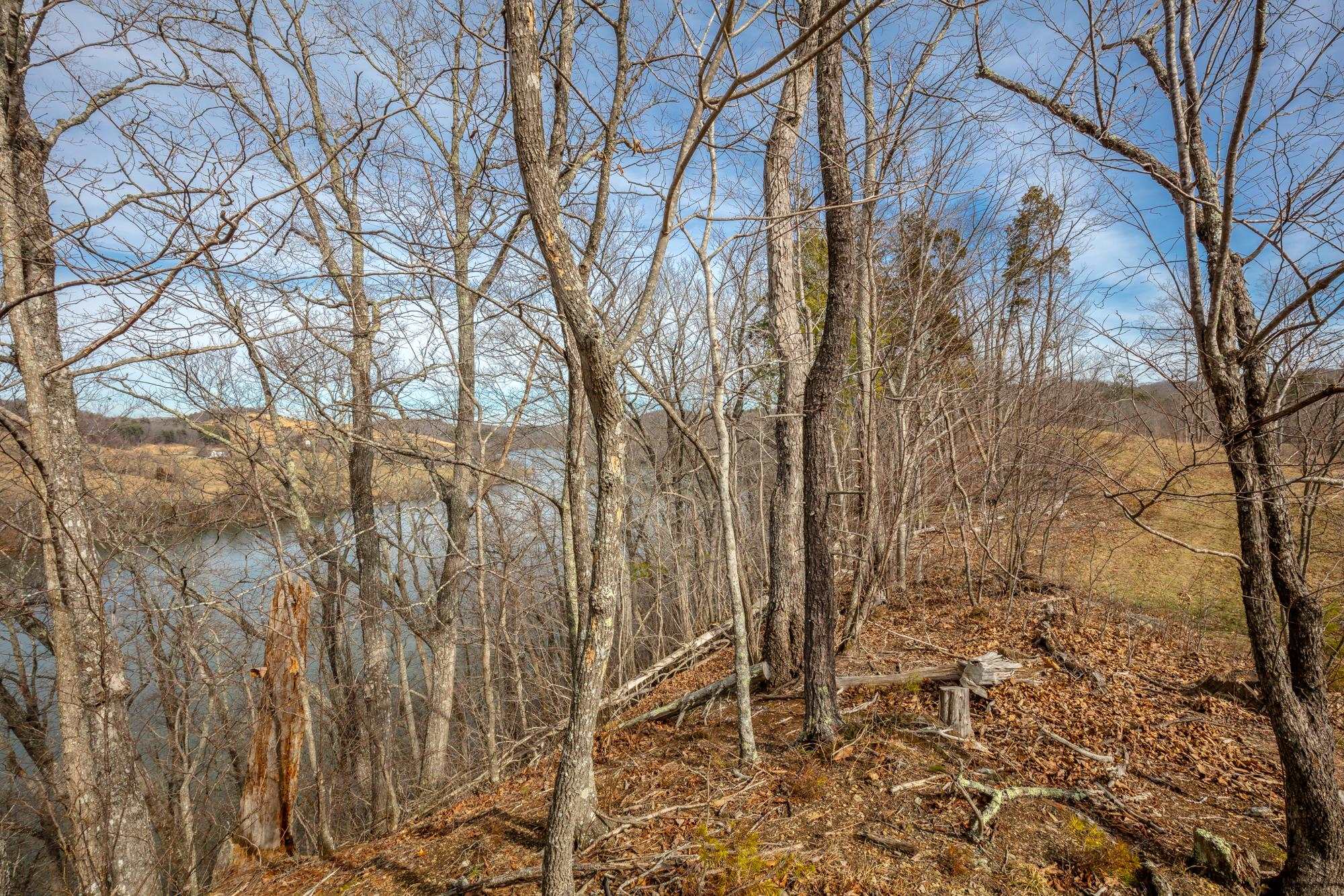 Tbd Blackberry Lane Hiwassee VA 24347