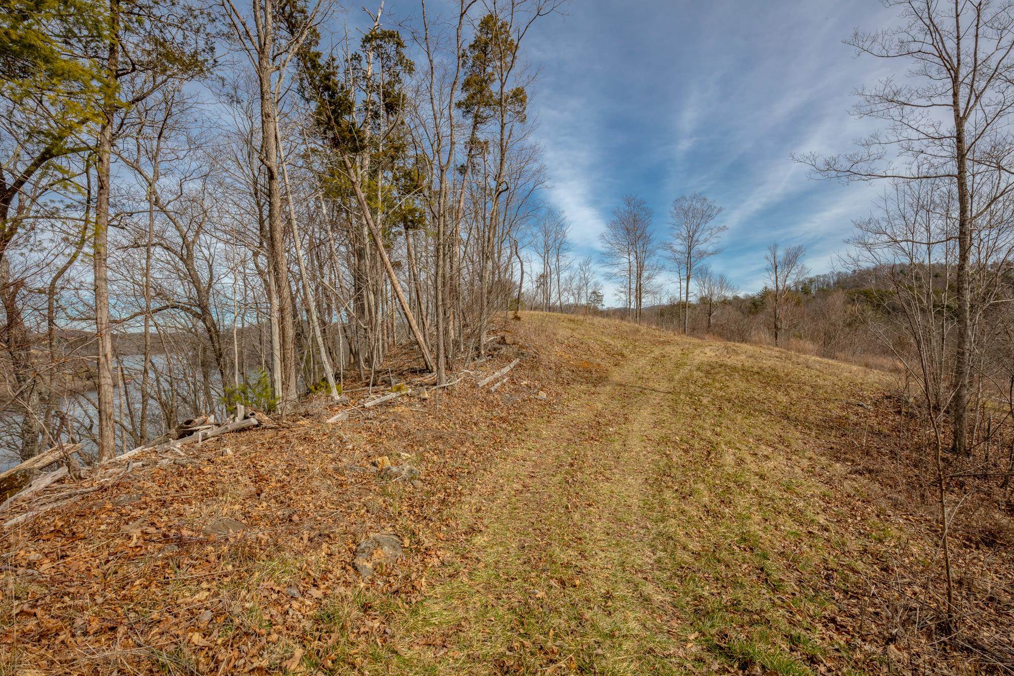 Tbd Blackberry Lane Hiwassee VA 24347