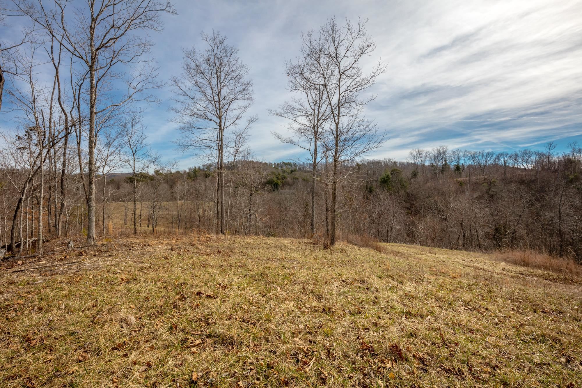 Tbd Blackberry Lane Hiwassee VA 24347