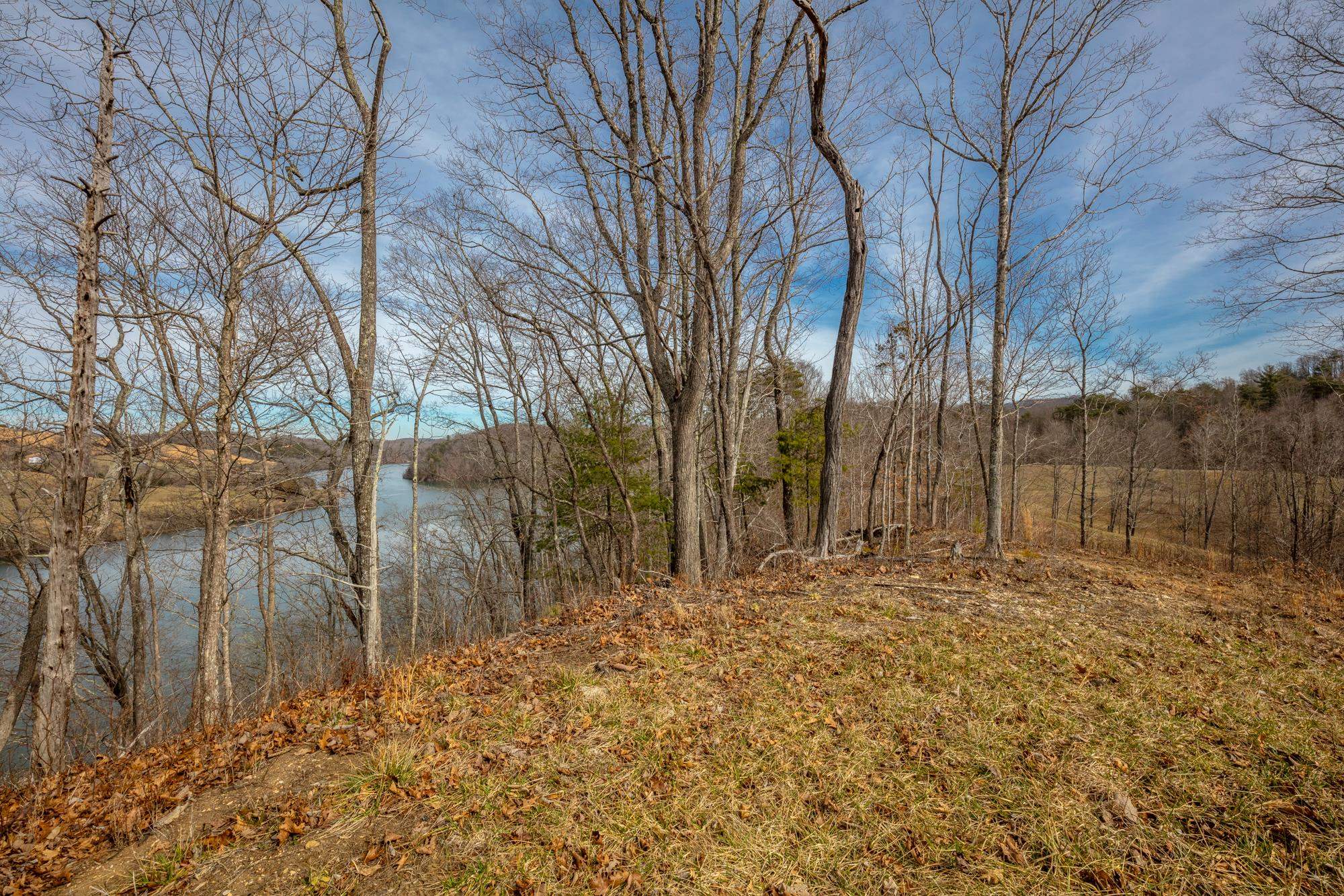 Tbd Blackberry Lane Hiwassee VA 24347