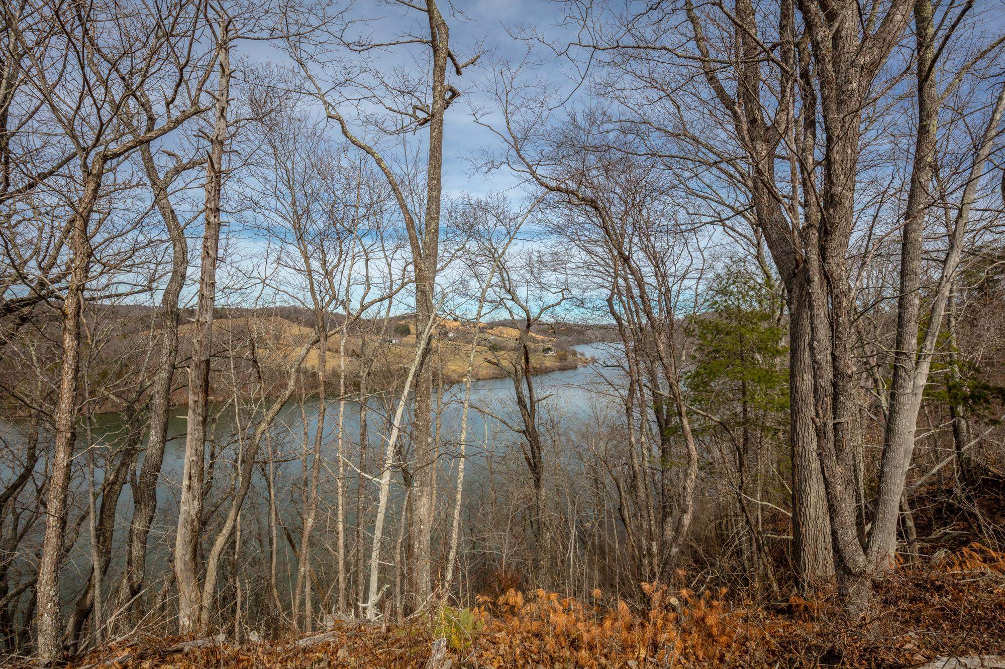 Tbd Blackberry Lane Hiwassee VA 24347