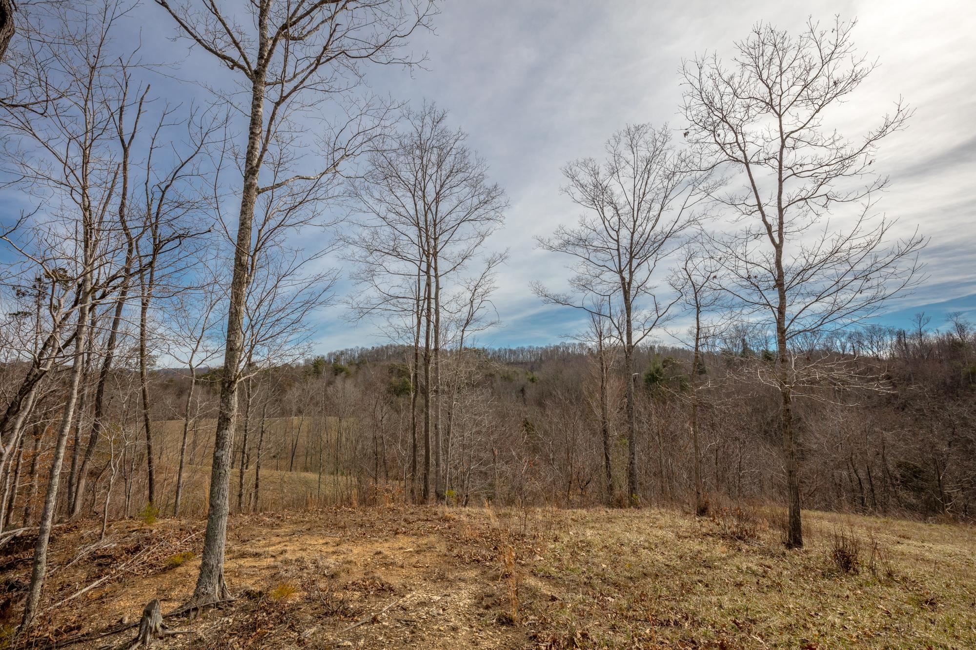 Tbd Blackberry Lane Hiwassee VA 24347