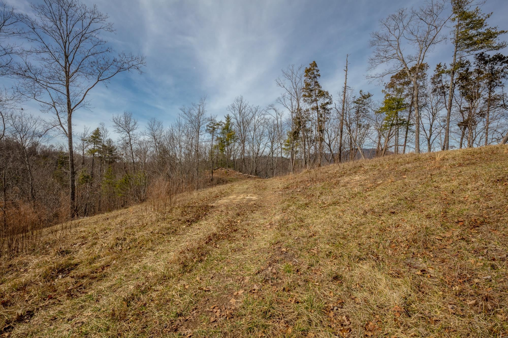 Tbd Blackberry Lane Hiwassee VA 24347