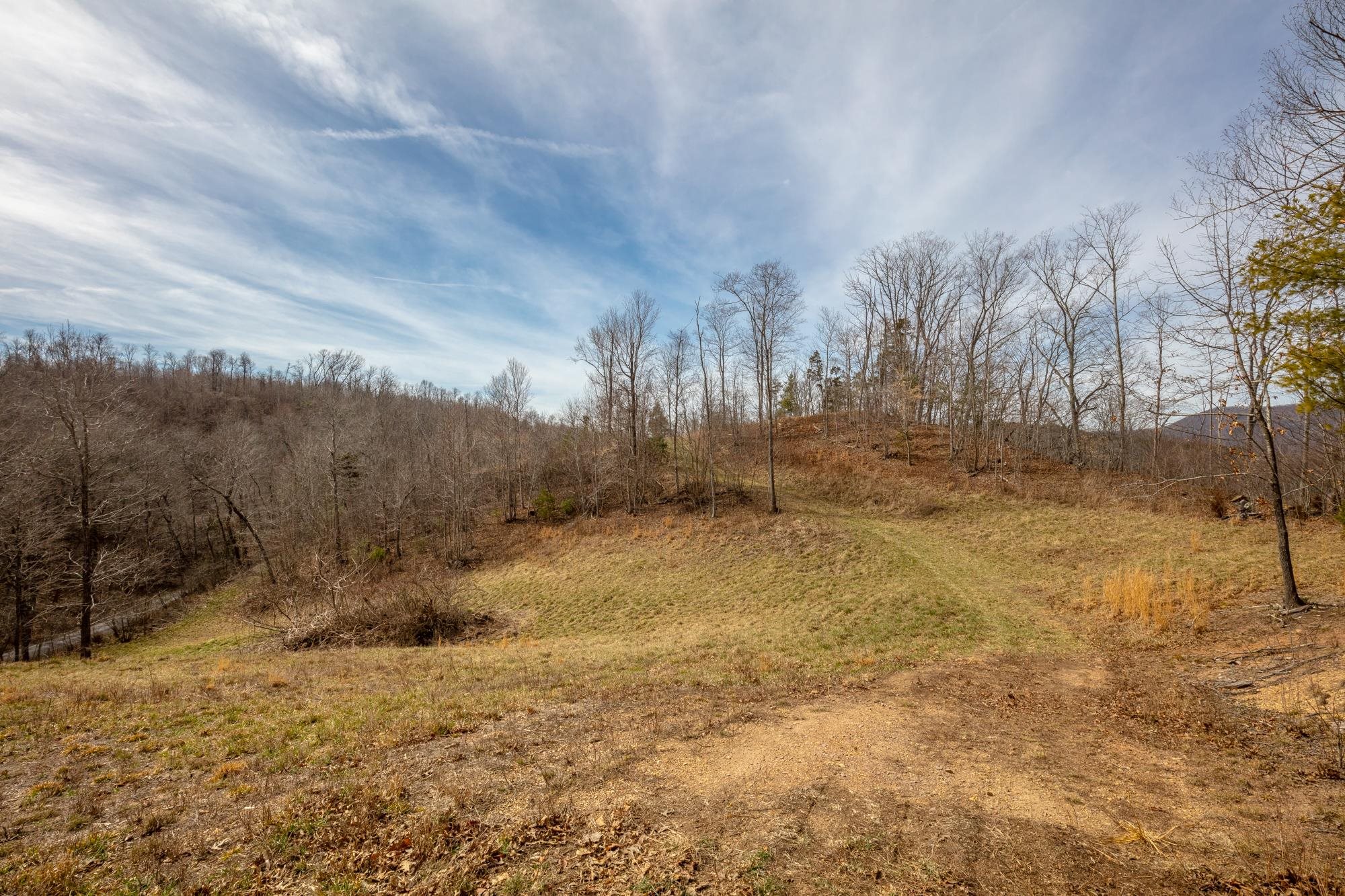 Tbd Blackberry Lane Hiwassee VA 24347