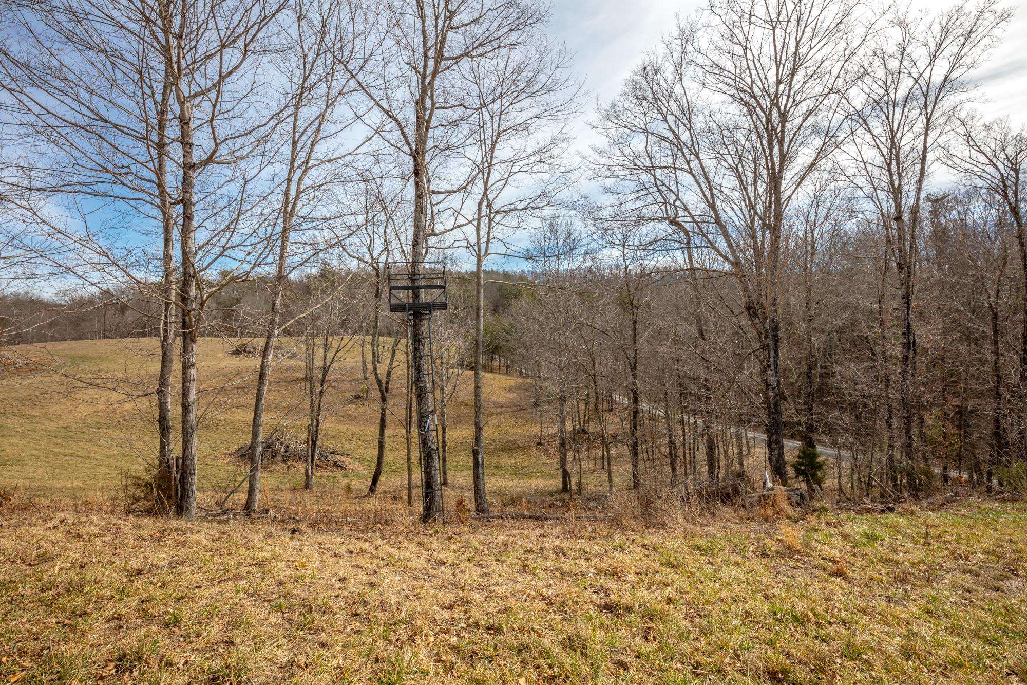 Tbd Blackberry Lane Hiwassee VA 24347