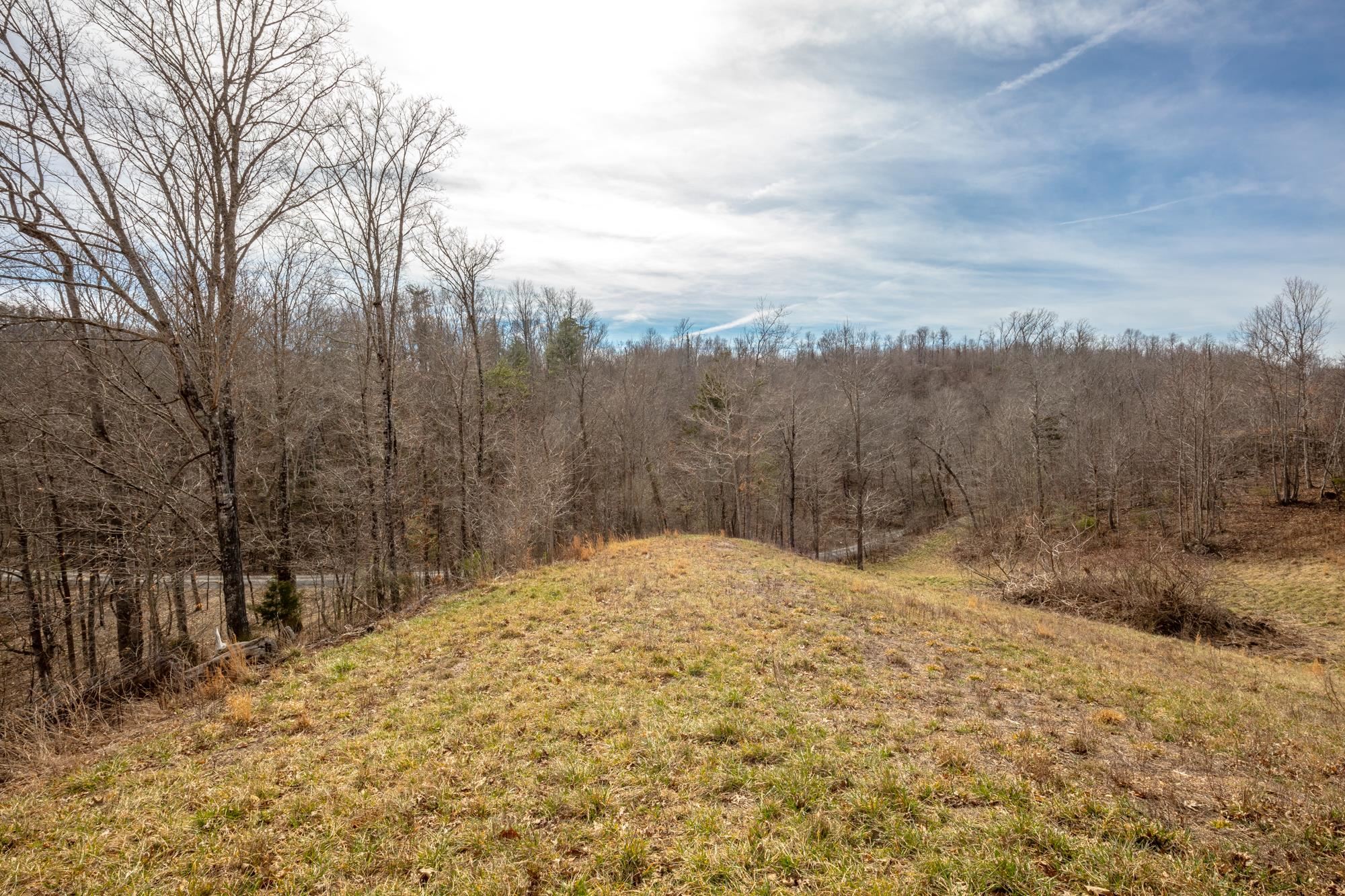 Tbd Blackberry Lane Hiwassee VA 24347