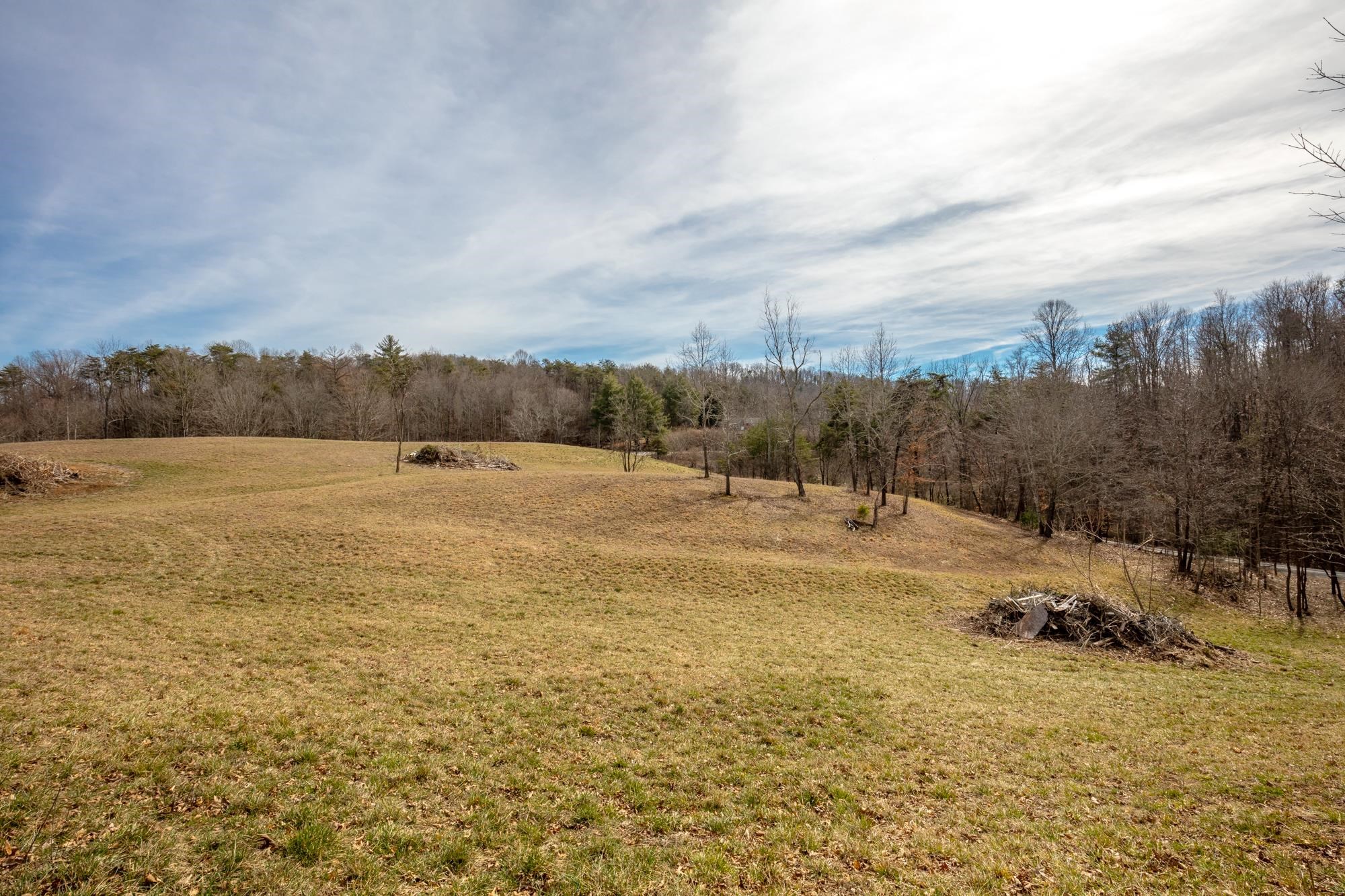 Tbd Blackberry Lane Hiwassee VA 24347