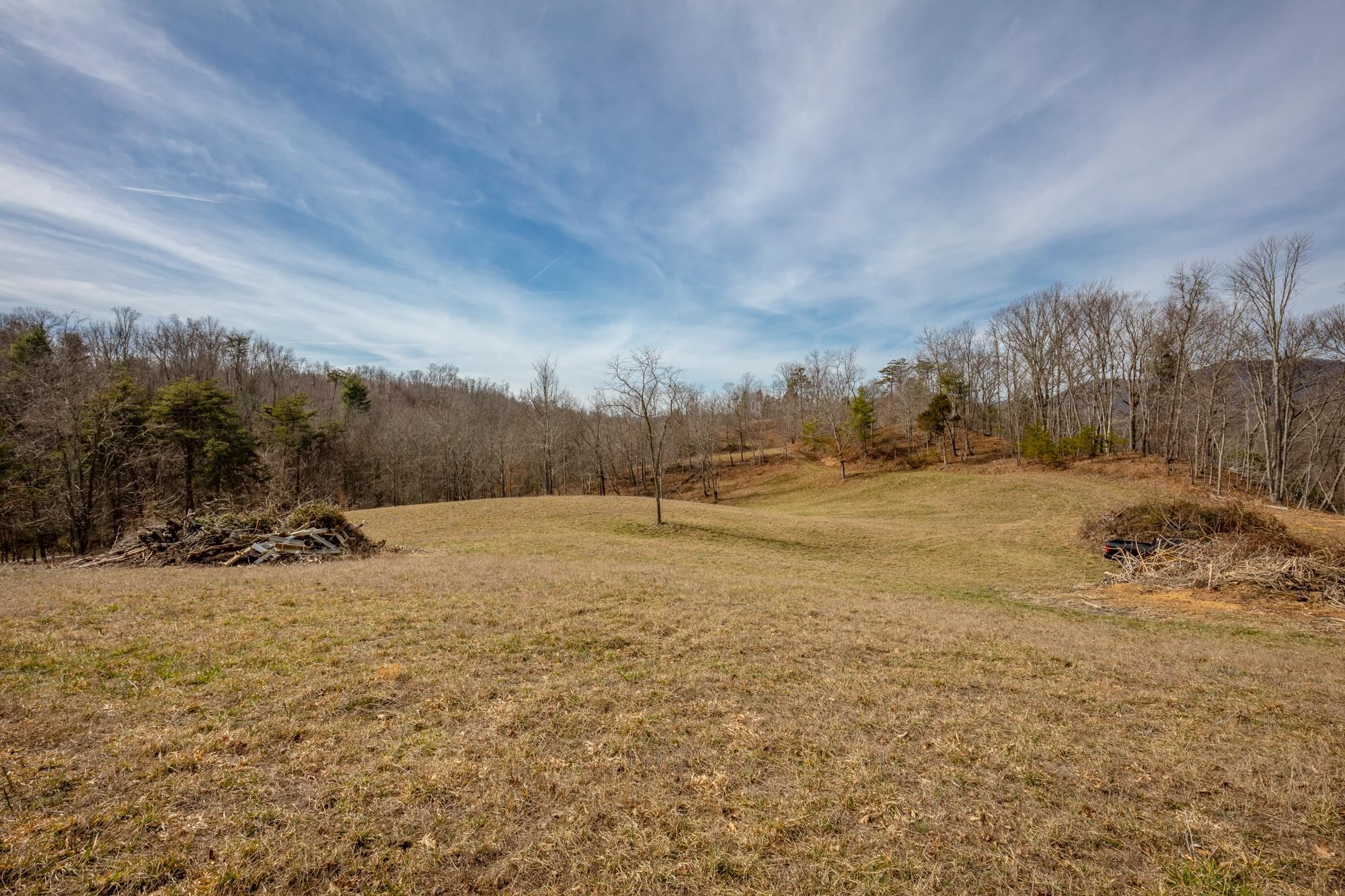 Tbd Blackberry Lane Hiwassee VA 24347