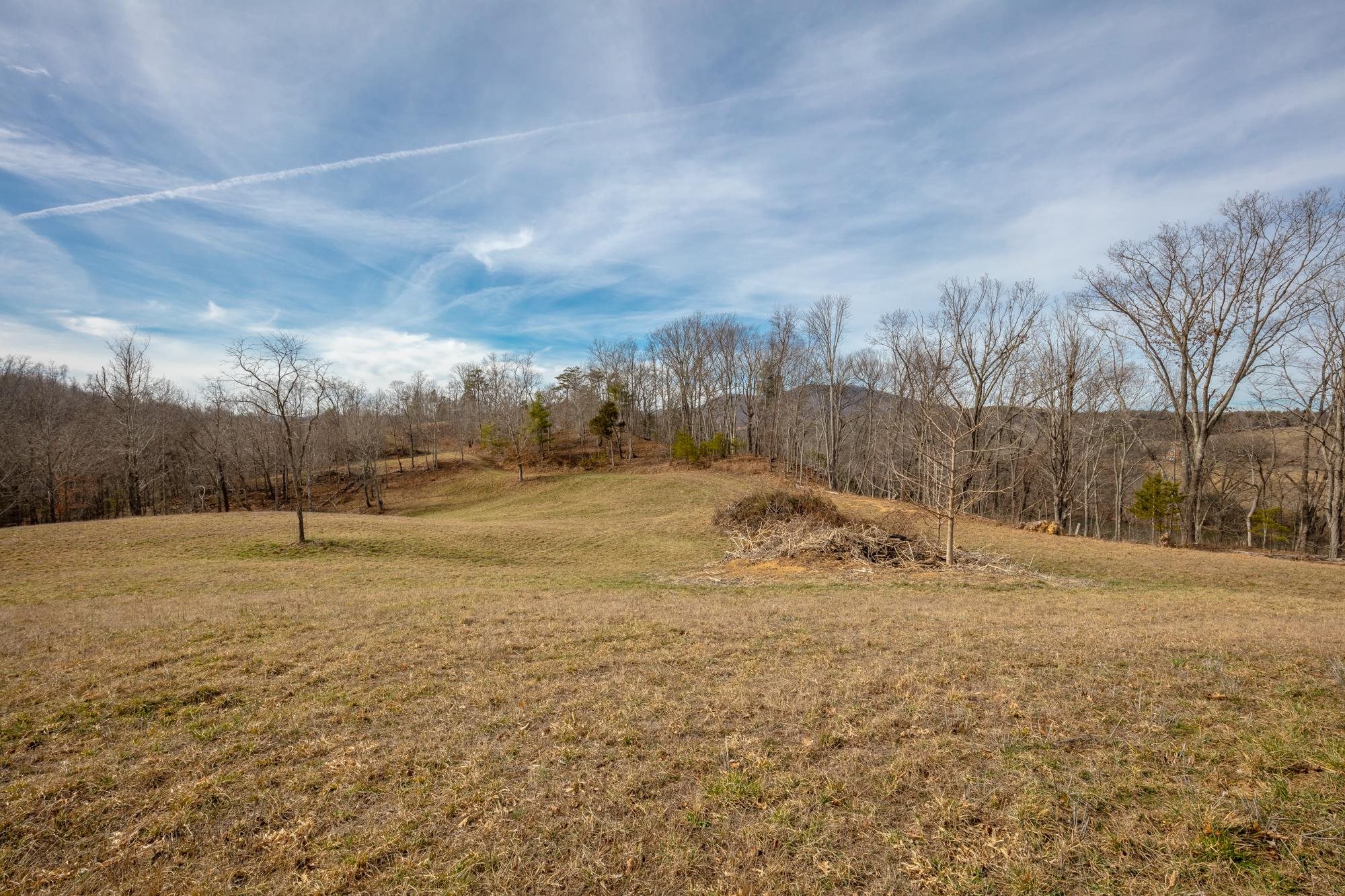 Tbd Blackberry Lane Hiwassee VA 24347