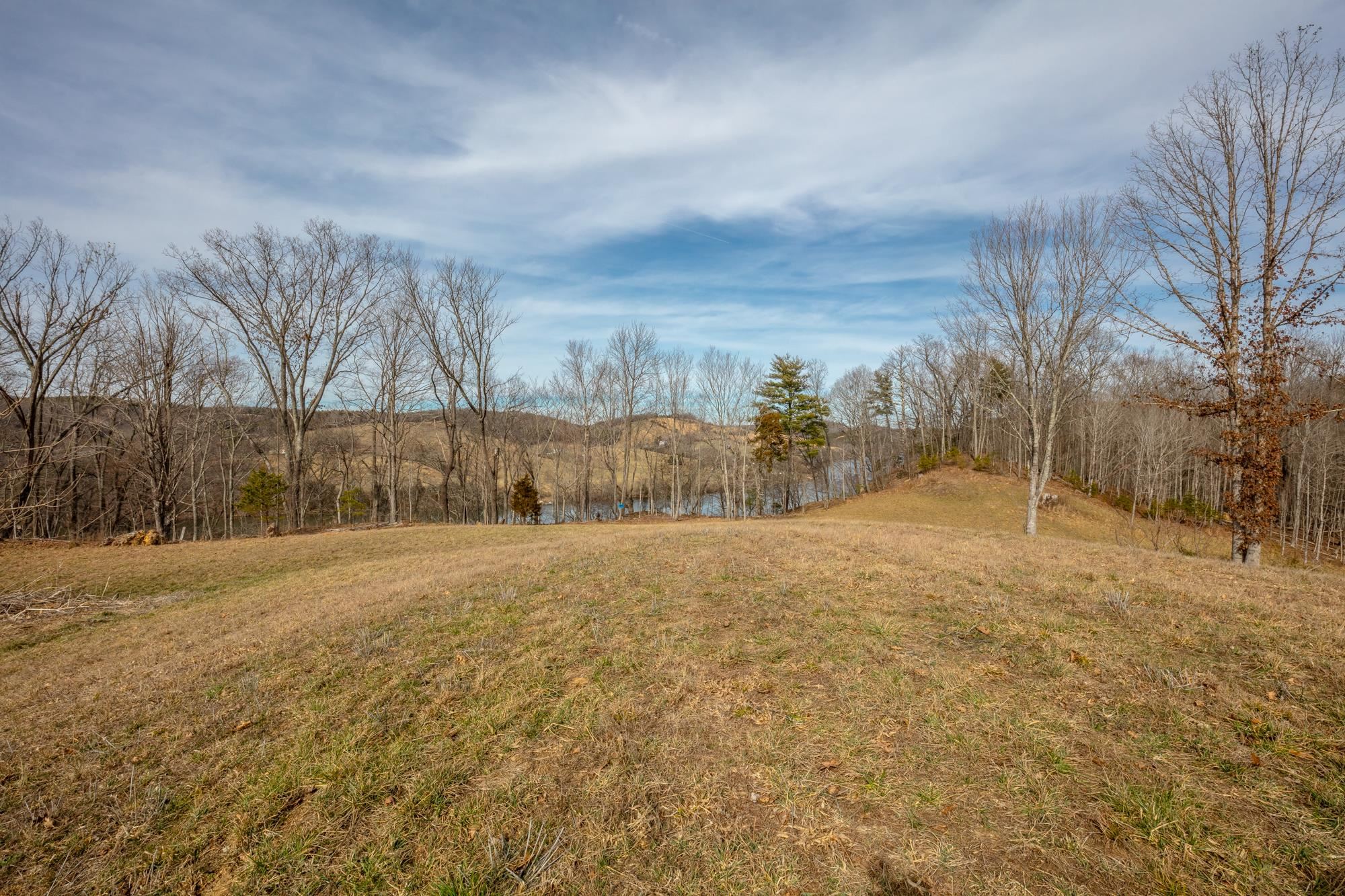 Tbd Blackberry Lane Hiwassee VA 24347