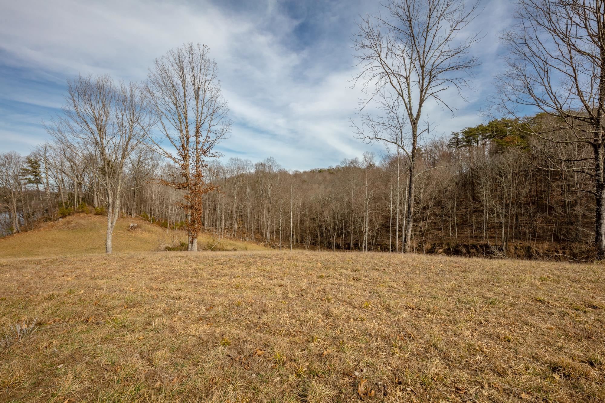 Tbd Blackberry Lane Hiwassee VA 24347