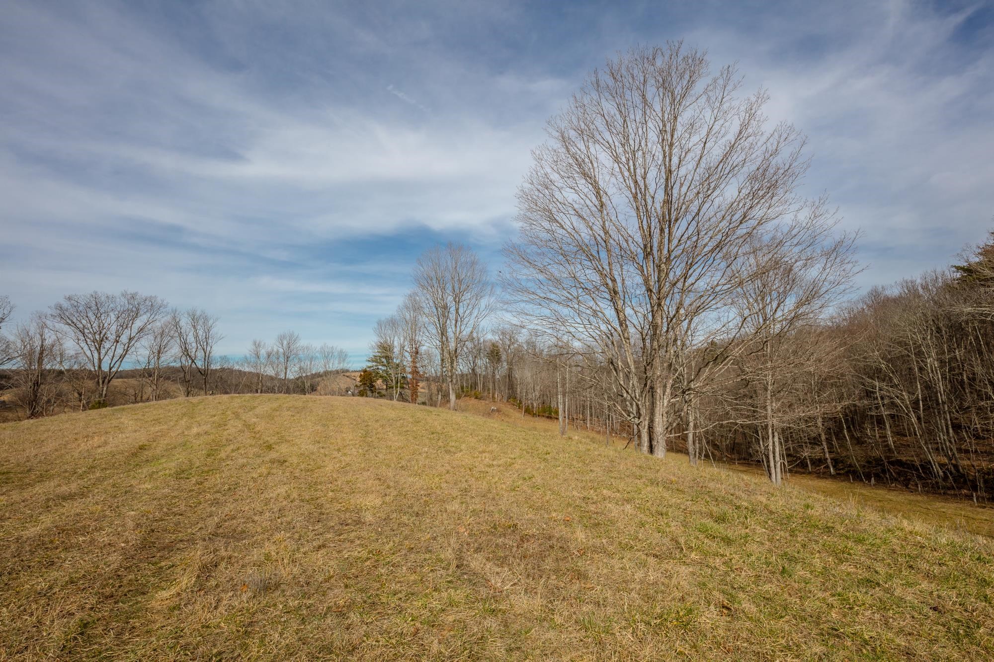 Tbd Blackberry Lane Hiwassee VA 24347